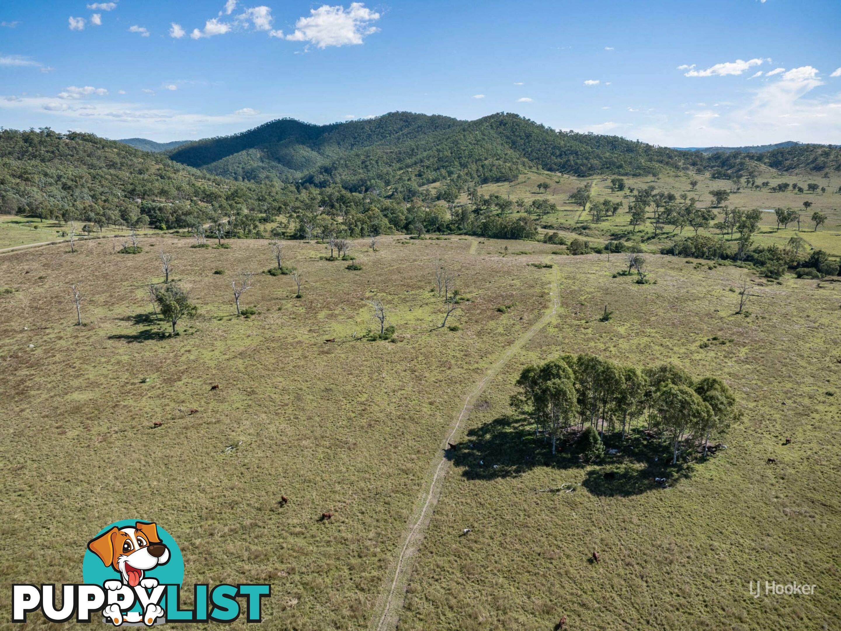 Lot 113 Glenhowden Road COLINTON QLD 4314