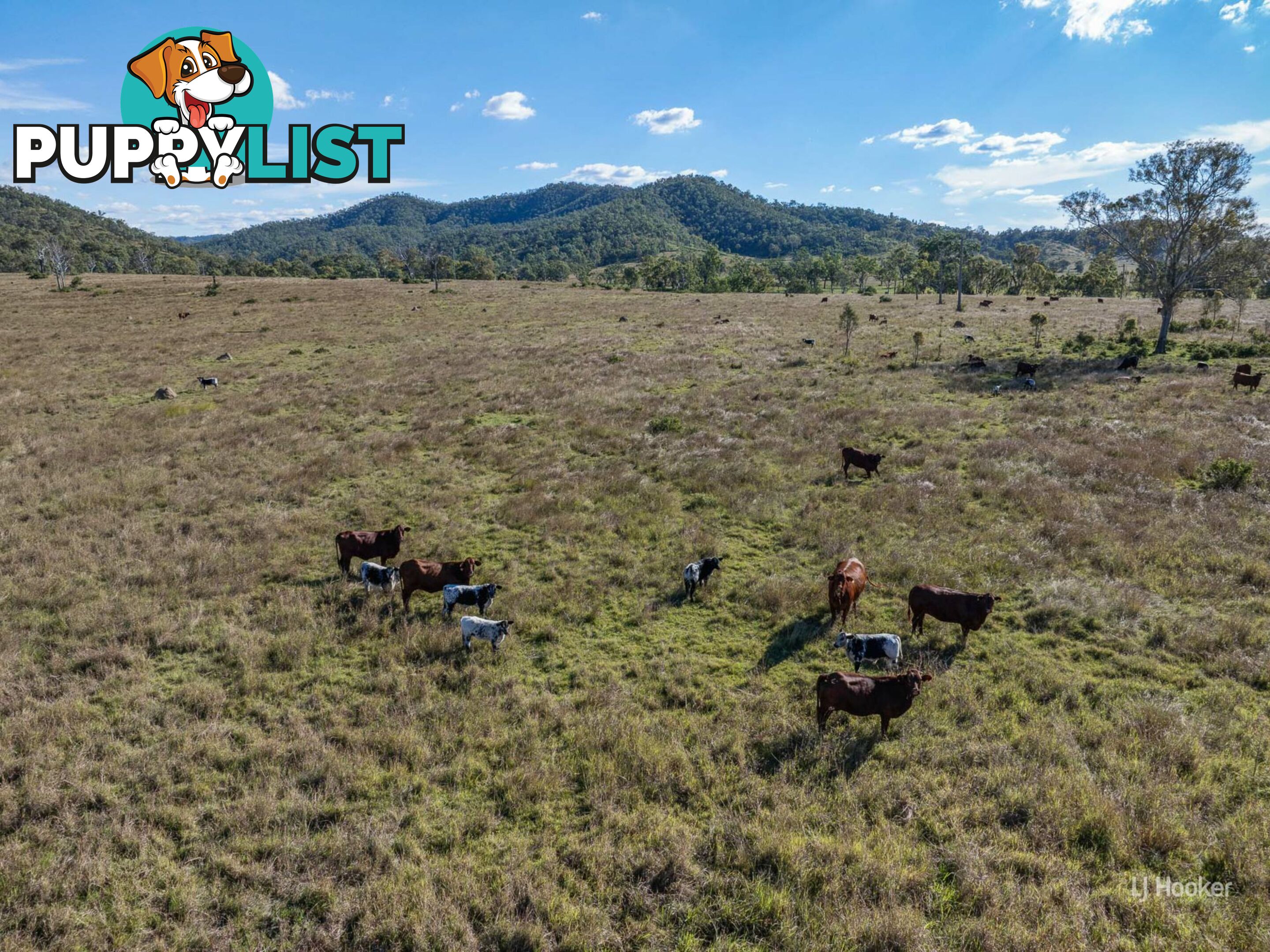 Lot 113 Glenhowden Road COLINTON QLD 4314
