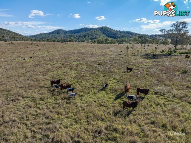 Lot 113 Glenhowden Road COLINTON QLD 4314