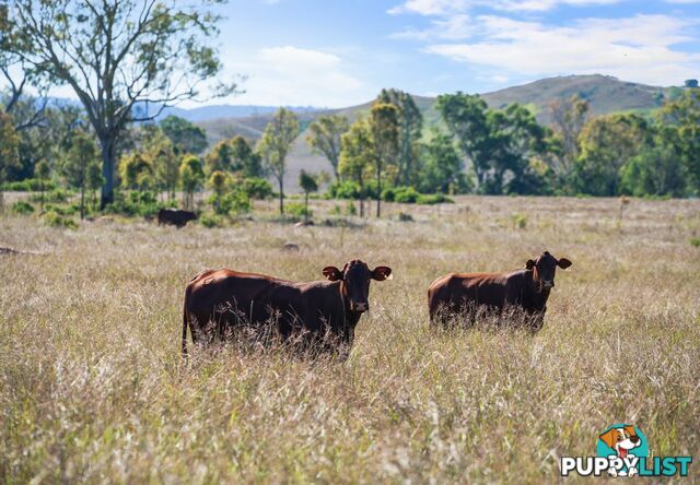 Lot 113 Glenhowden Road COLINTON QLD 4314