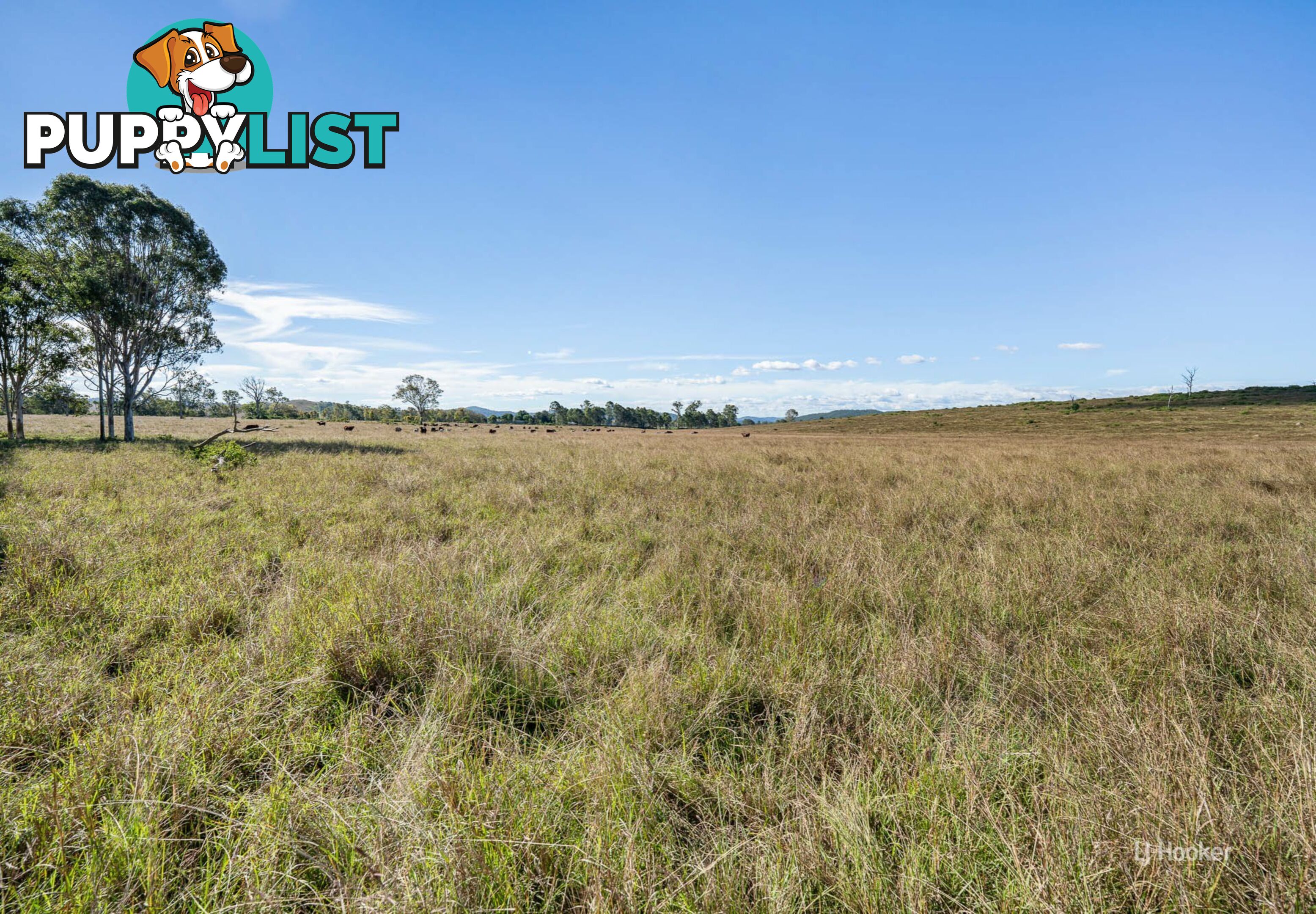 Lot 113 Glenhowden Road COLINTON QLD 4314