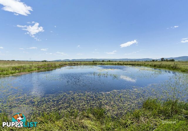 146 Lower Cressbrook Road CRESSBROOK QLD 4313