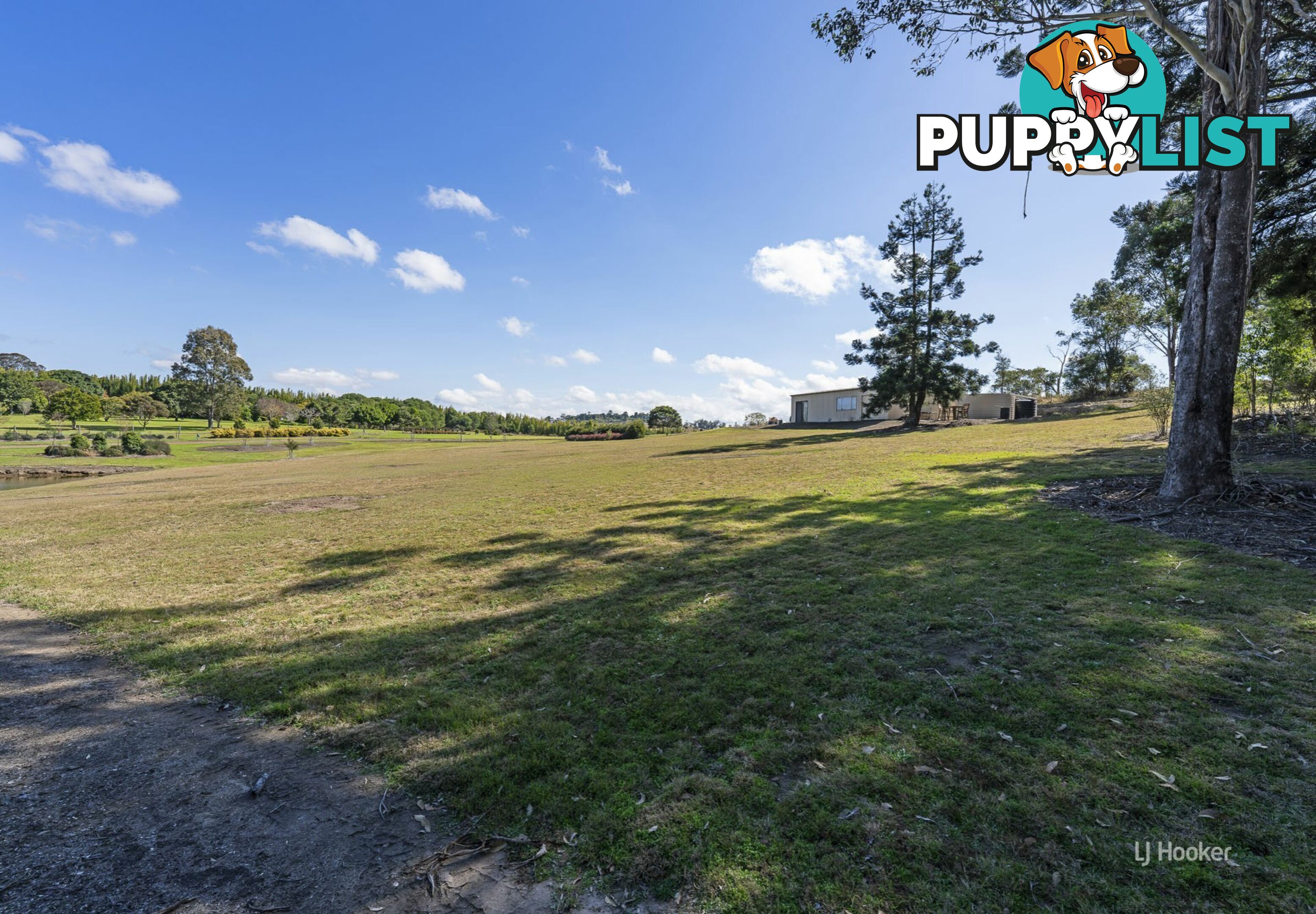98 David Road TAROMEO QLD 4314