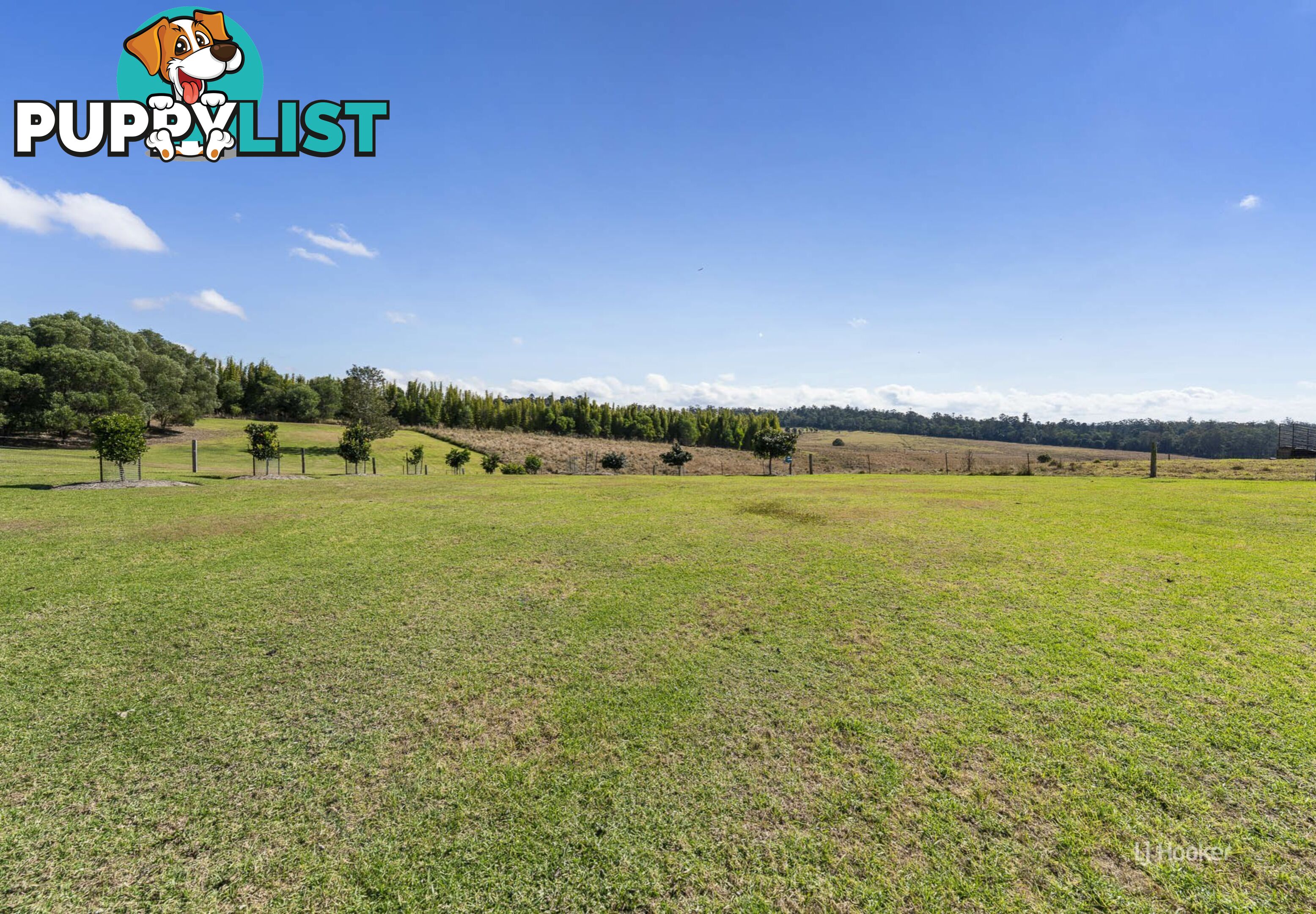98 David Road TAROMEO QLD 4314