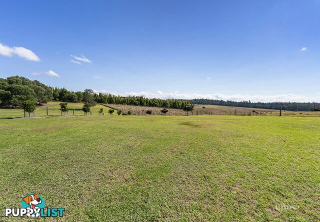 98 David Road TAROMEO QLD 4314