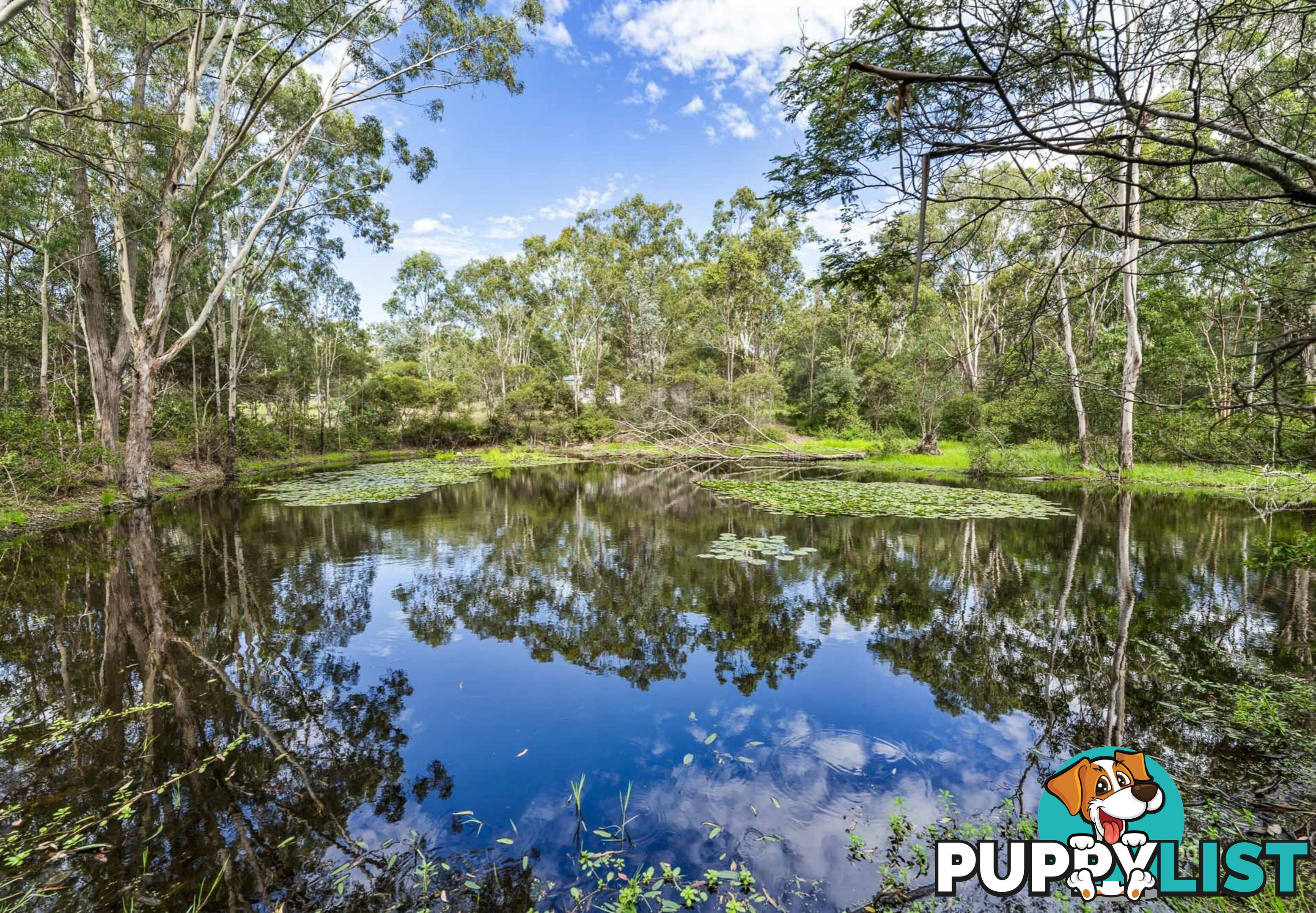 293 Bowman Road BLACKBUTT NORTH QLD 4314