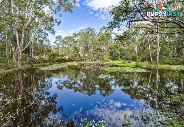 293 Bowman Road BLACKBUTT NORTH QLD 4314