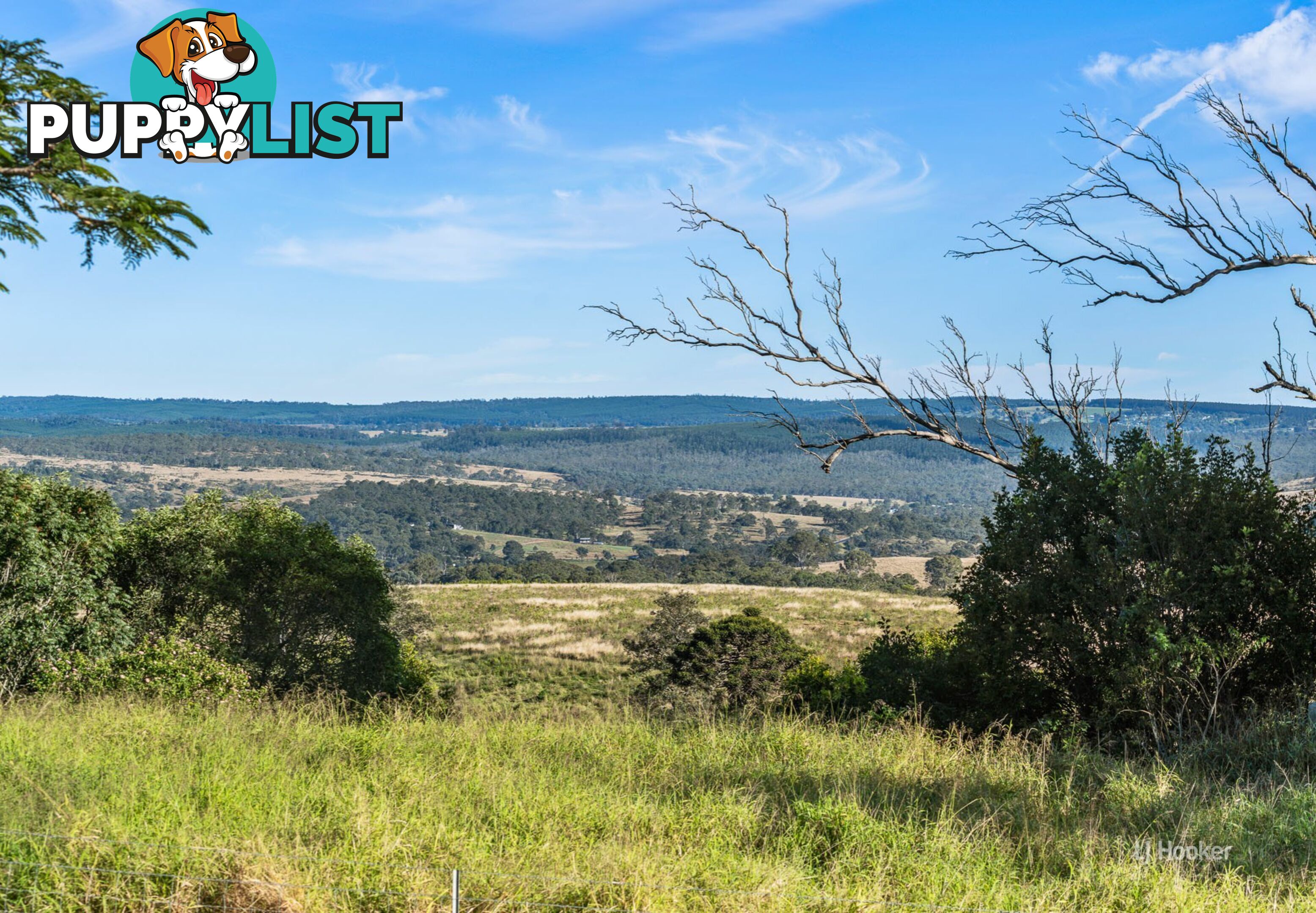 84 Nukku - Mt Binga Road GILLA QLD 4314