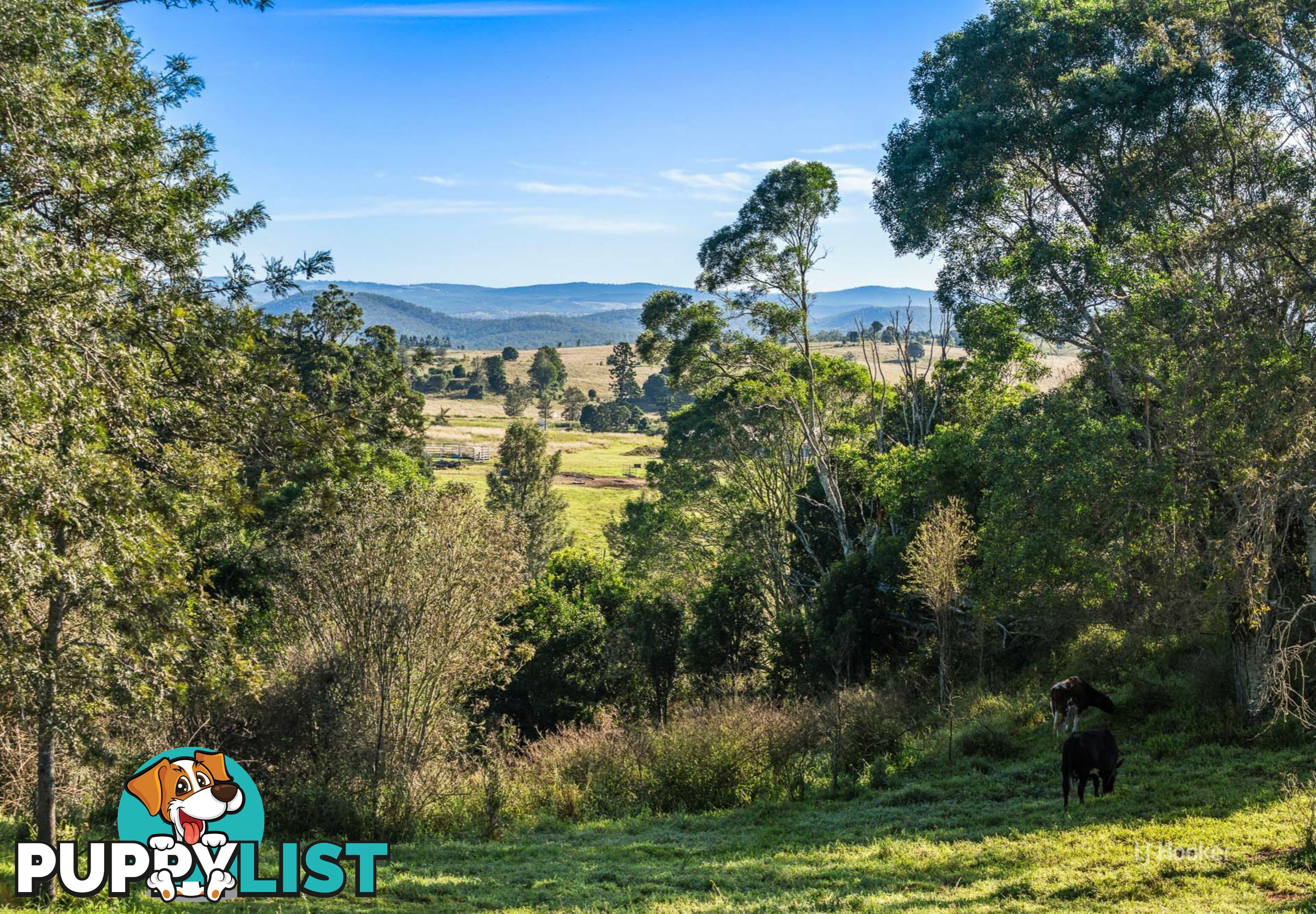 84 Nukku - Mt Binga Road GILLA QLD 4314
