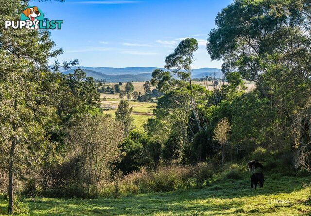 84 Nukku - Mt Binga Road GILLA QLD 4314