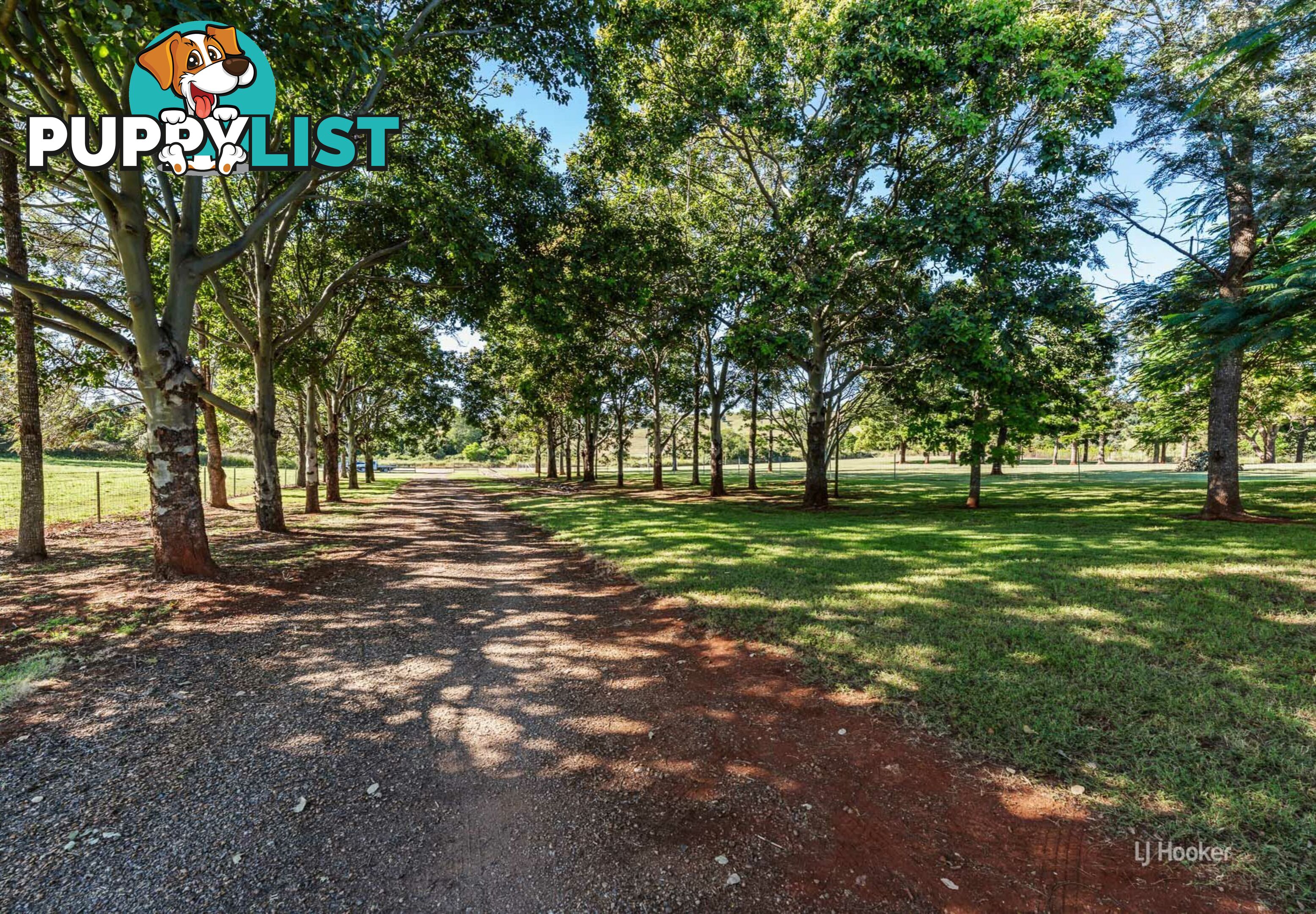 84 Nukku - Mt Binga Road GILLA QLD 4314