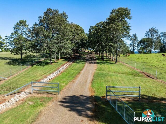 84 Nukku - Mt Binga Road GILLA QLD 4314