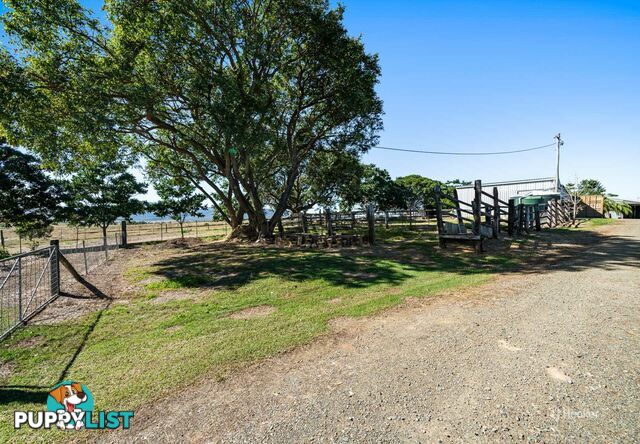 101 Ostrofskis Road MOUNT BEPPO QLD 4313