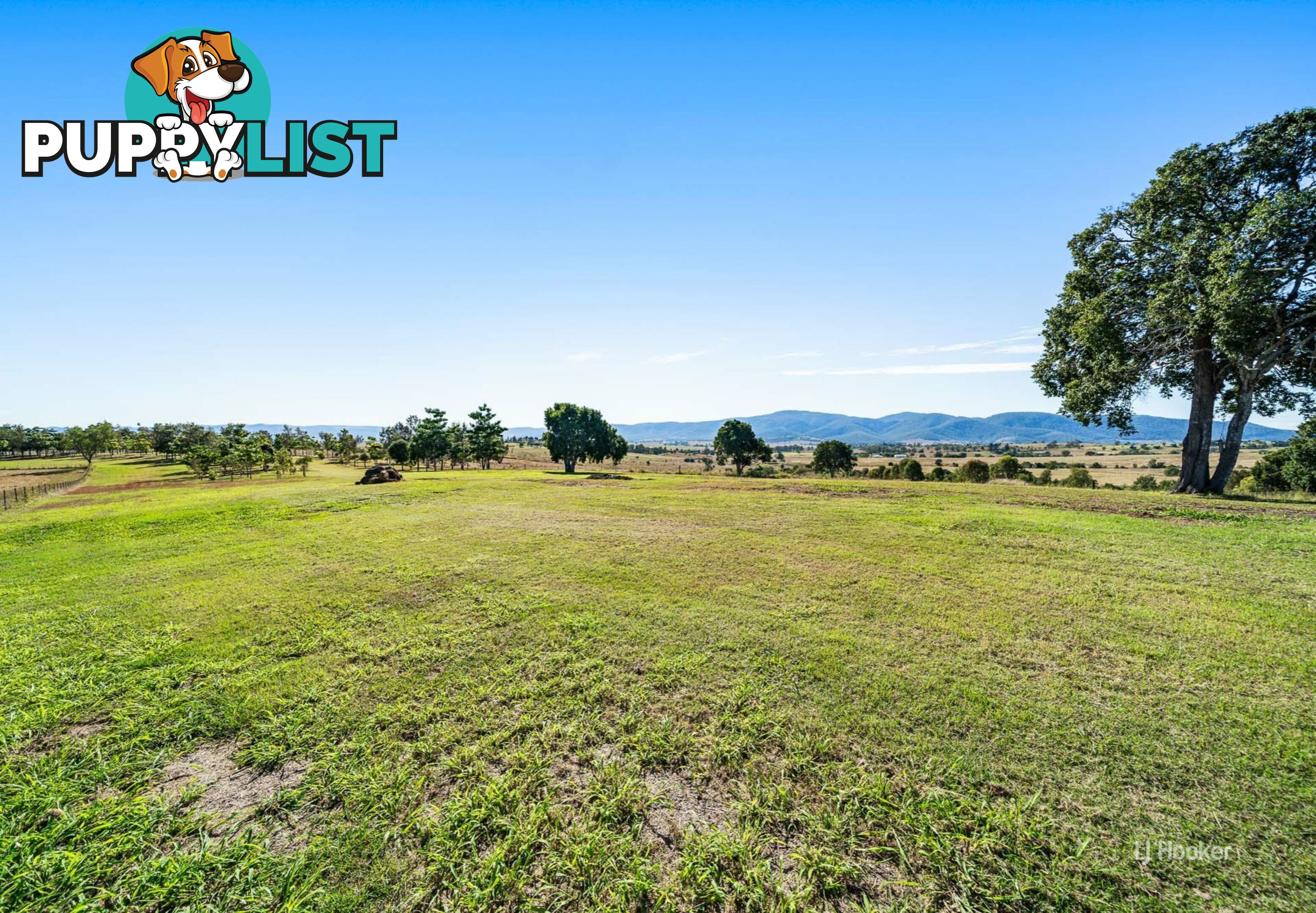 101 Ostrofskis Road MOUNT BEPPO QLD 4313