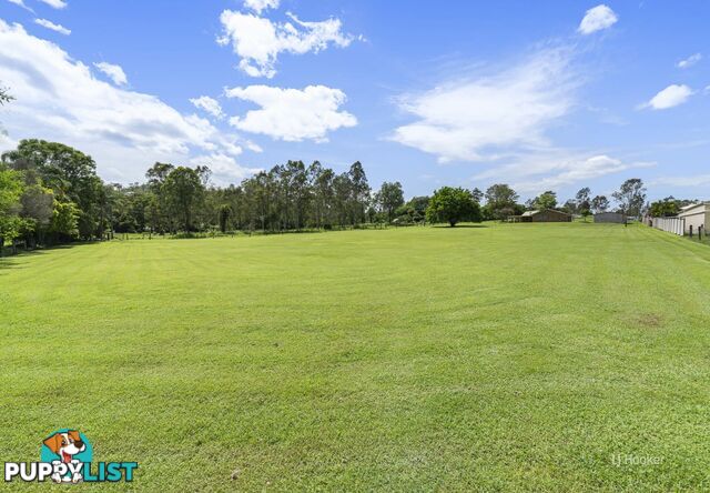 65 Carralluma Crescent FERNVALE QLD 4306