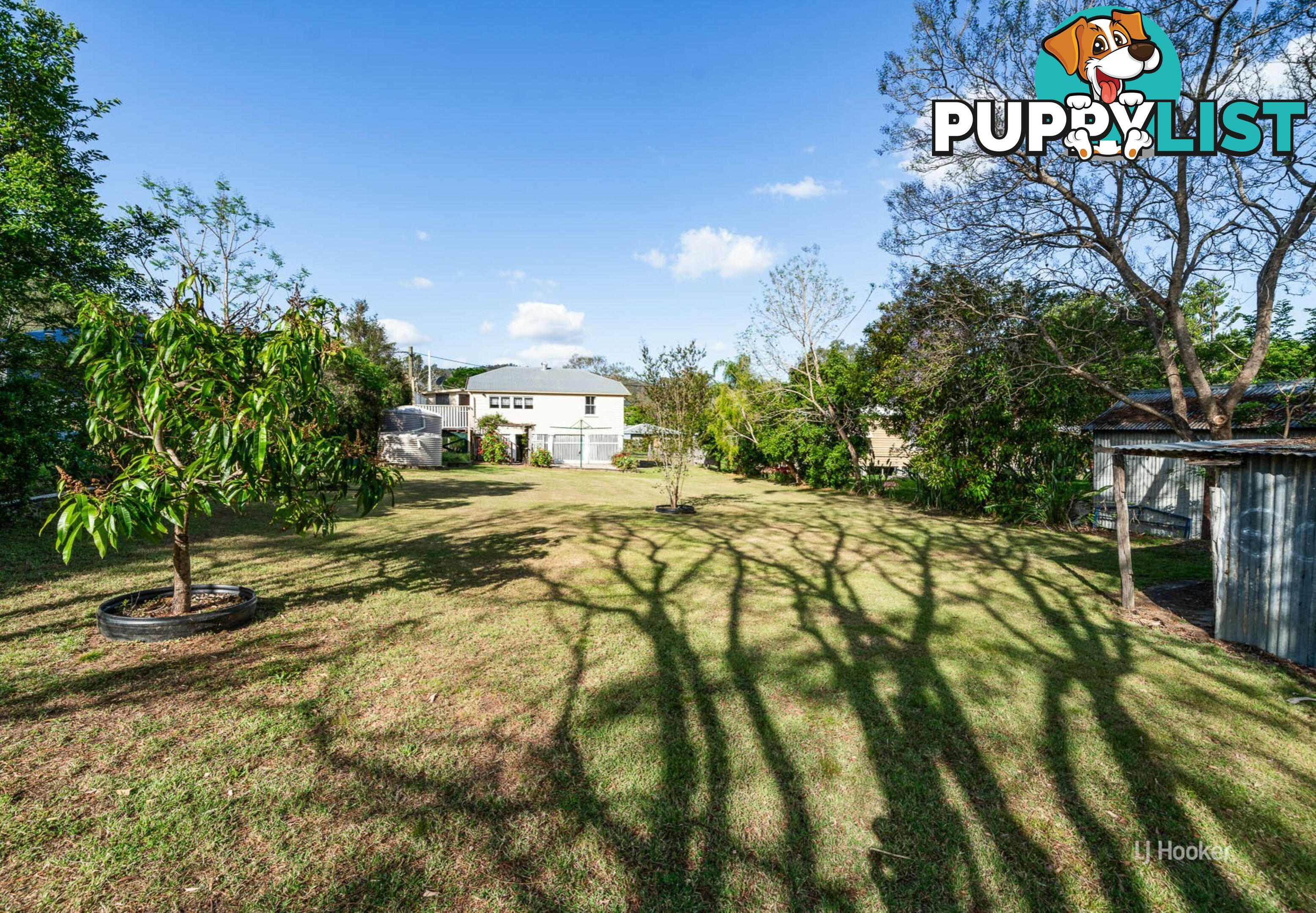 21 William Street LINVILLE QLD 4314