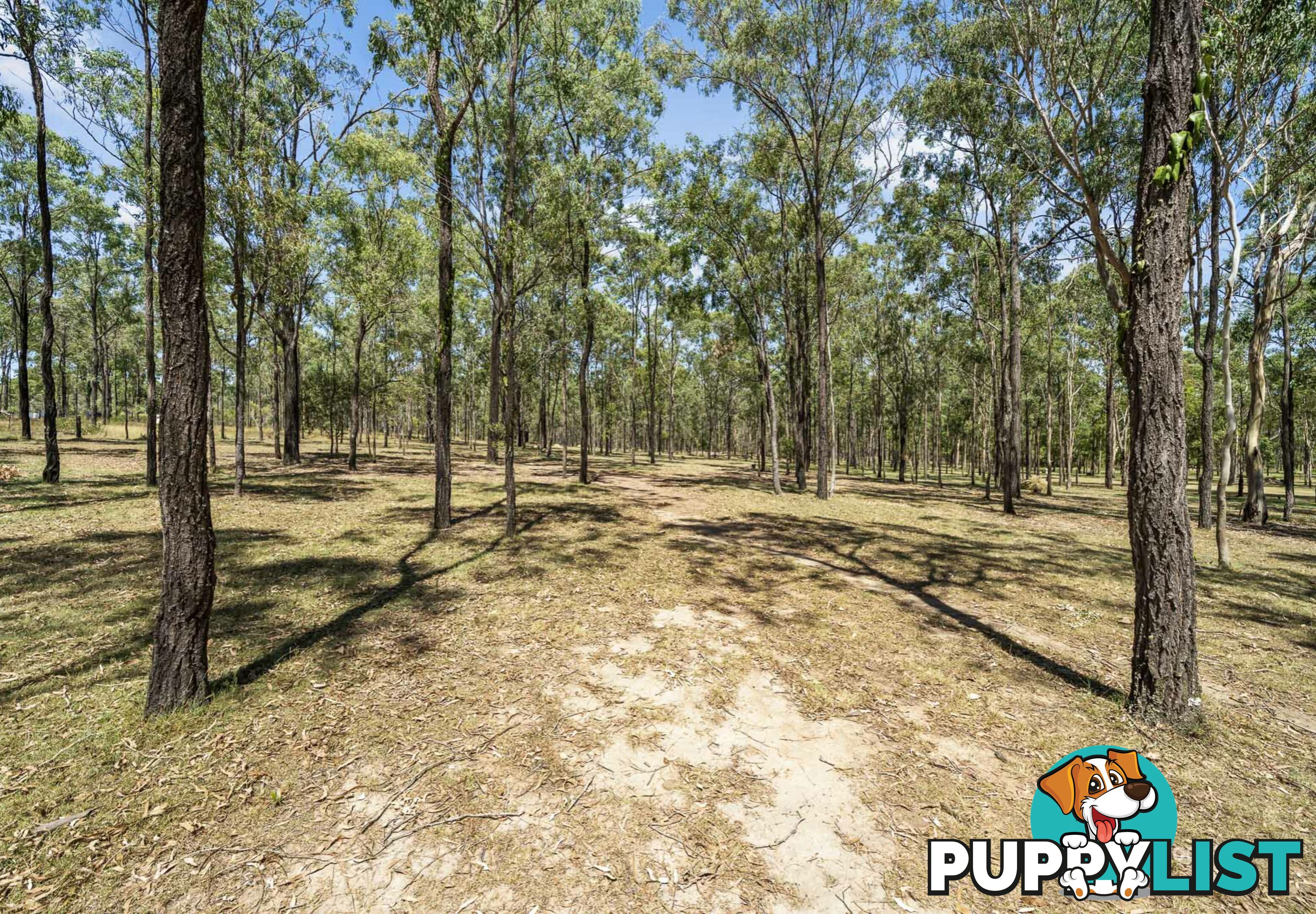 244 Parsons Road NANANGO QLD 4615