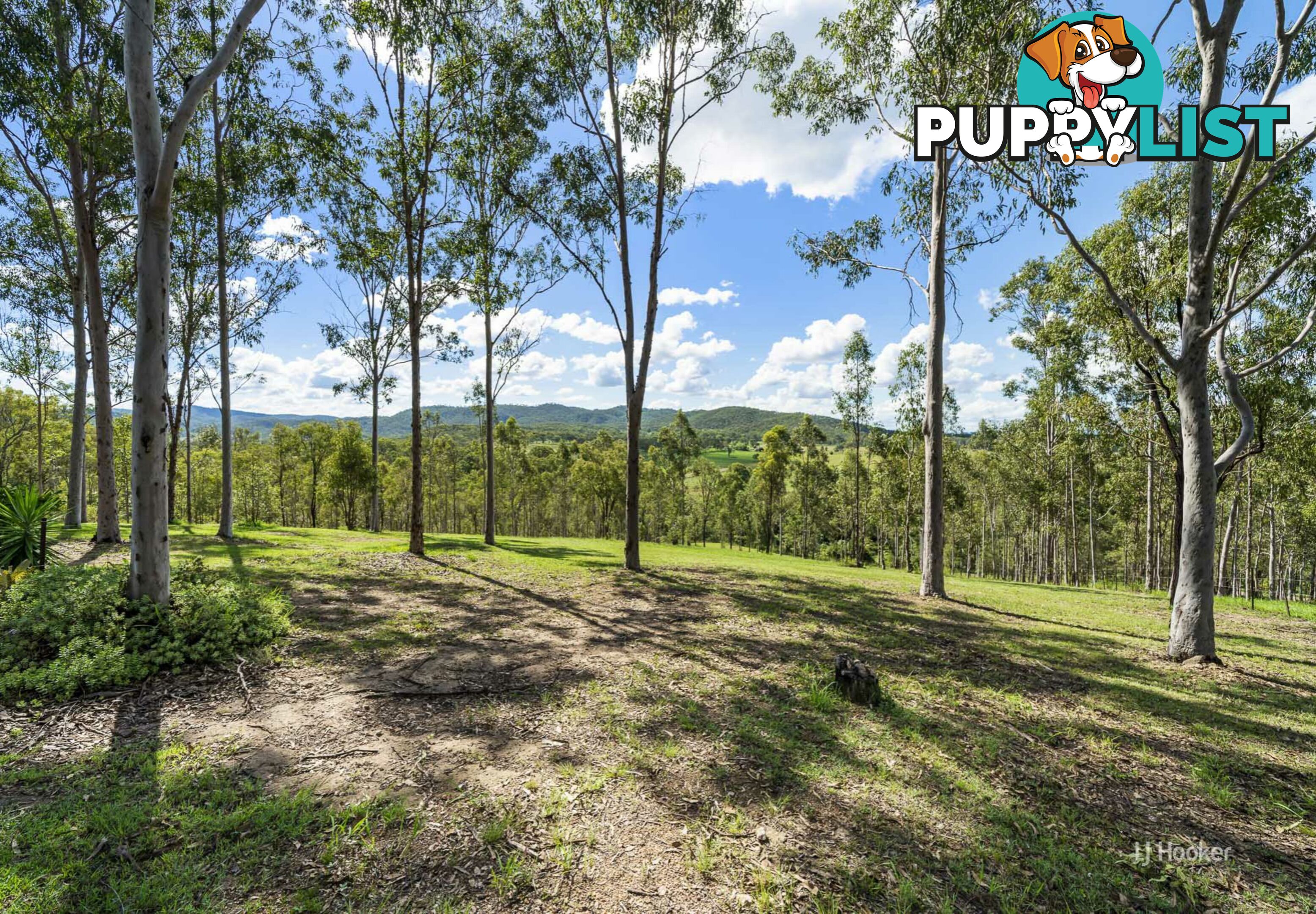 26 Rosentreters Lane BIARRA QLD 4313