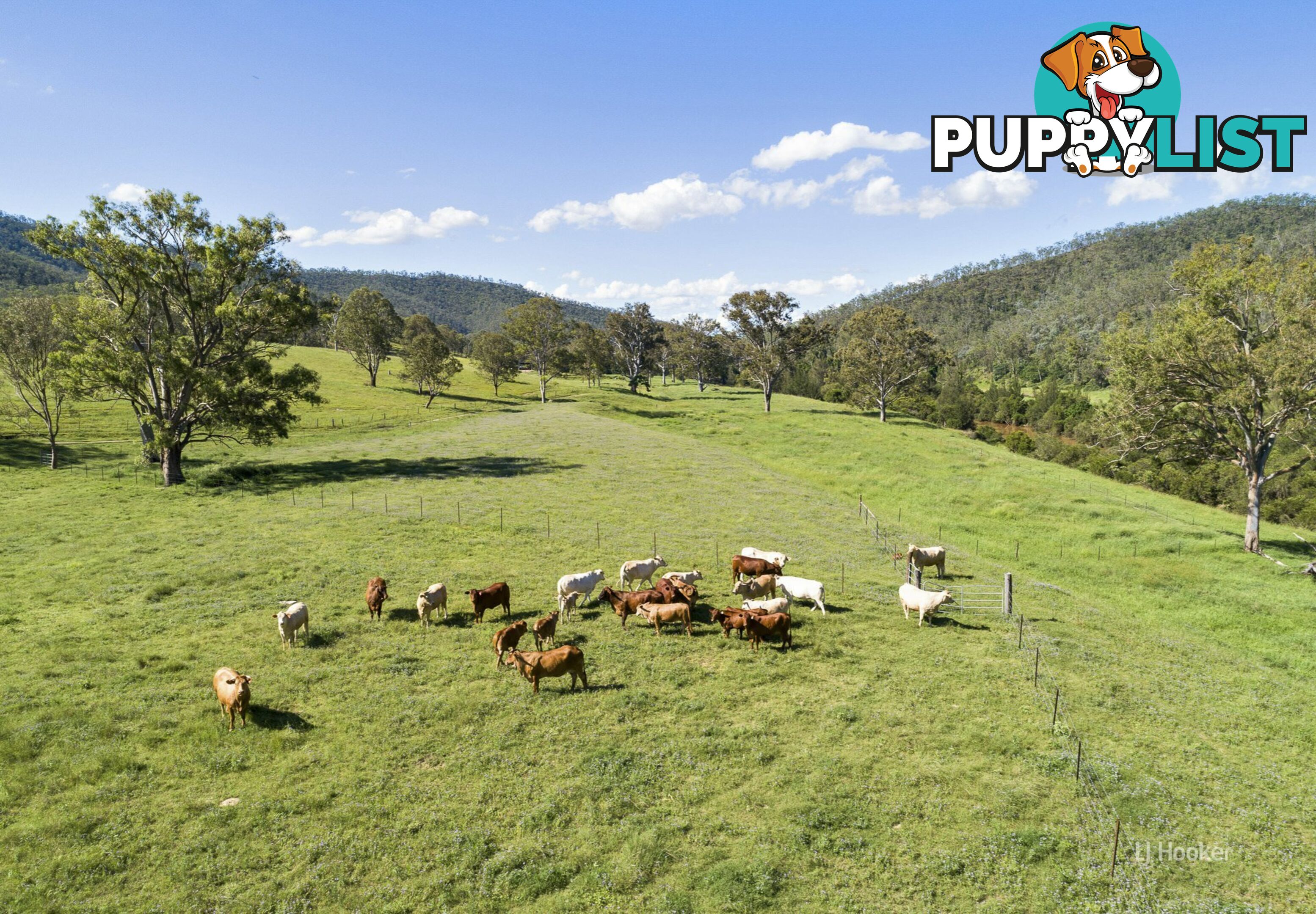 501 Glenhowden Road COLINTON QLD 4314