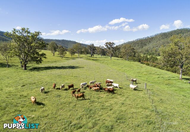 501 Glenhowden Road COLINTON QLD 4314