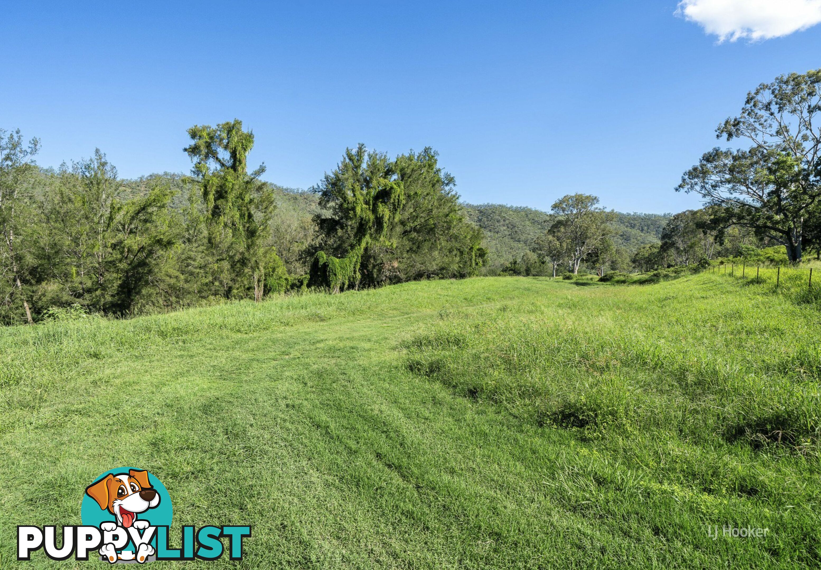 501 Glenhowden Road COLINTON QLD 4314