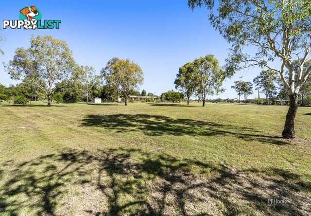 Lot 507 McConnel Street BRAEMORE QLD 4313