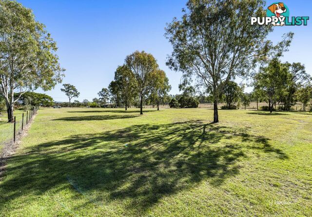 Lot 507 McConnel Street BRAEMORE QLD 4313