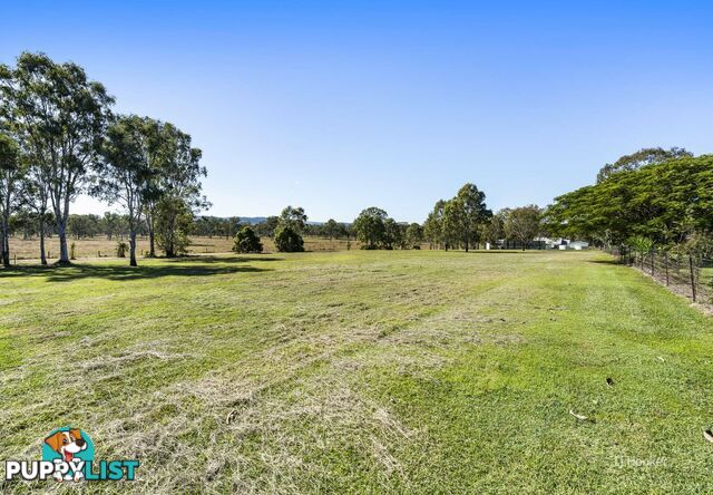 Lot 507 McConnel Street BRAEMORE QLD 4313