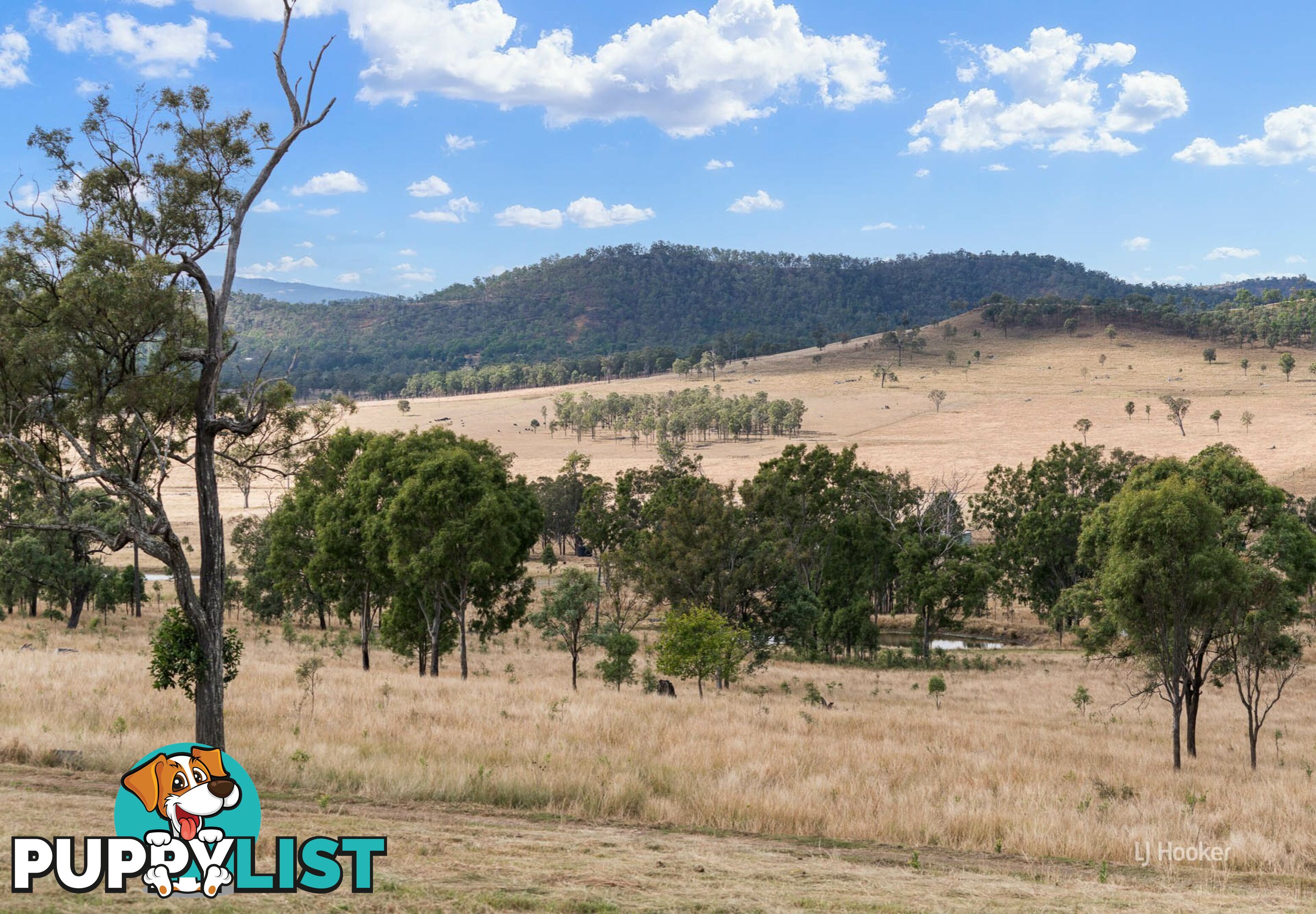 Lot 244 Huntley Road BIARRA QLD 4313