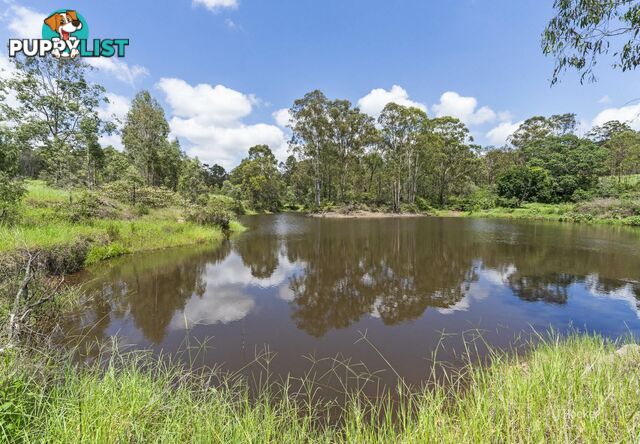 233 Buaraba Creek Road BUARABA QLD 4311