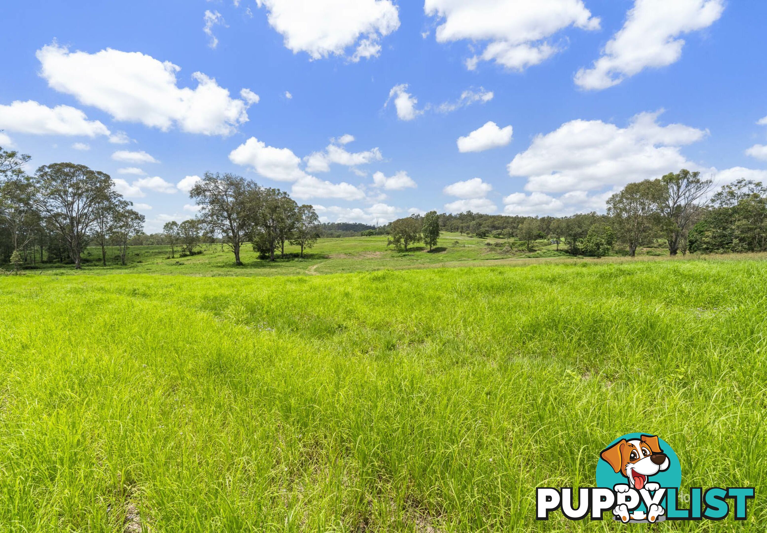 233 Buaraba Creek Road BUARABA QLD 4311