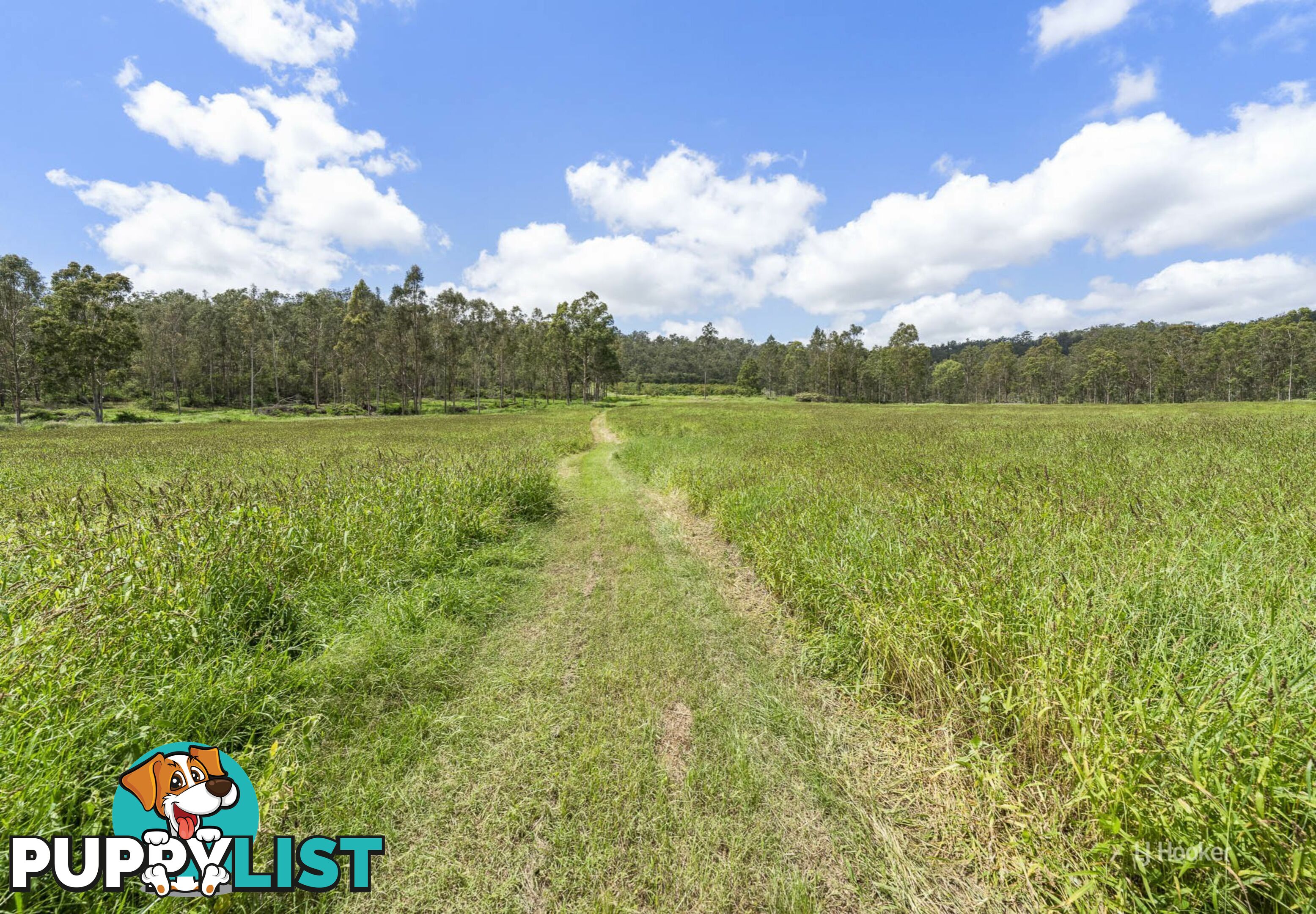 233 Buaraba Creek Road BUARABA QLD 4311