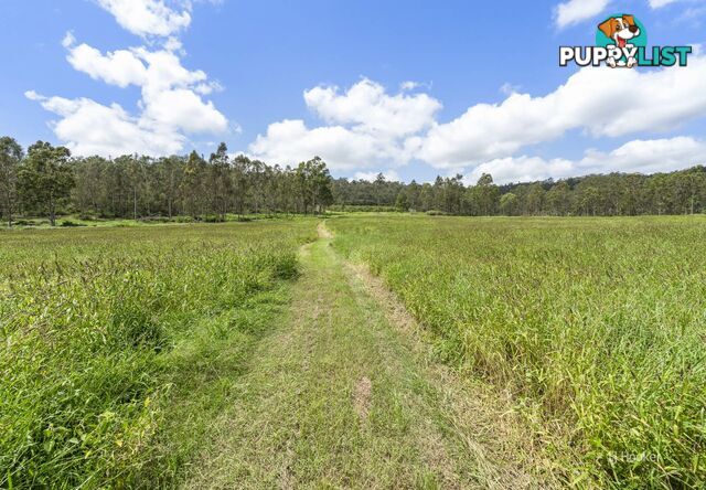 233 Buaraba Creek Road BUARABA QLD 4311