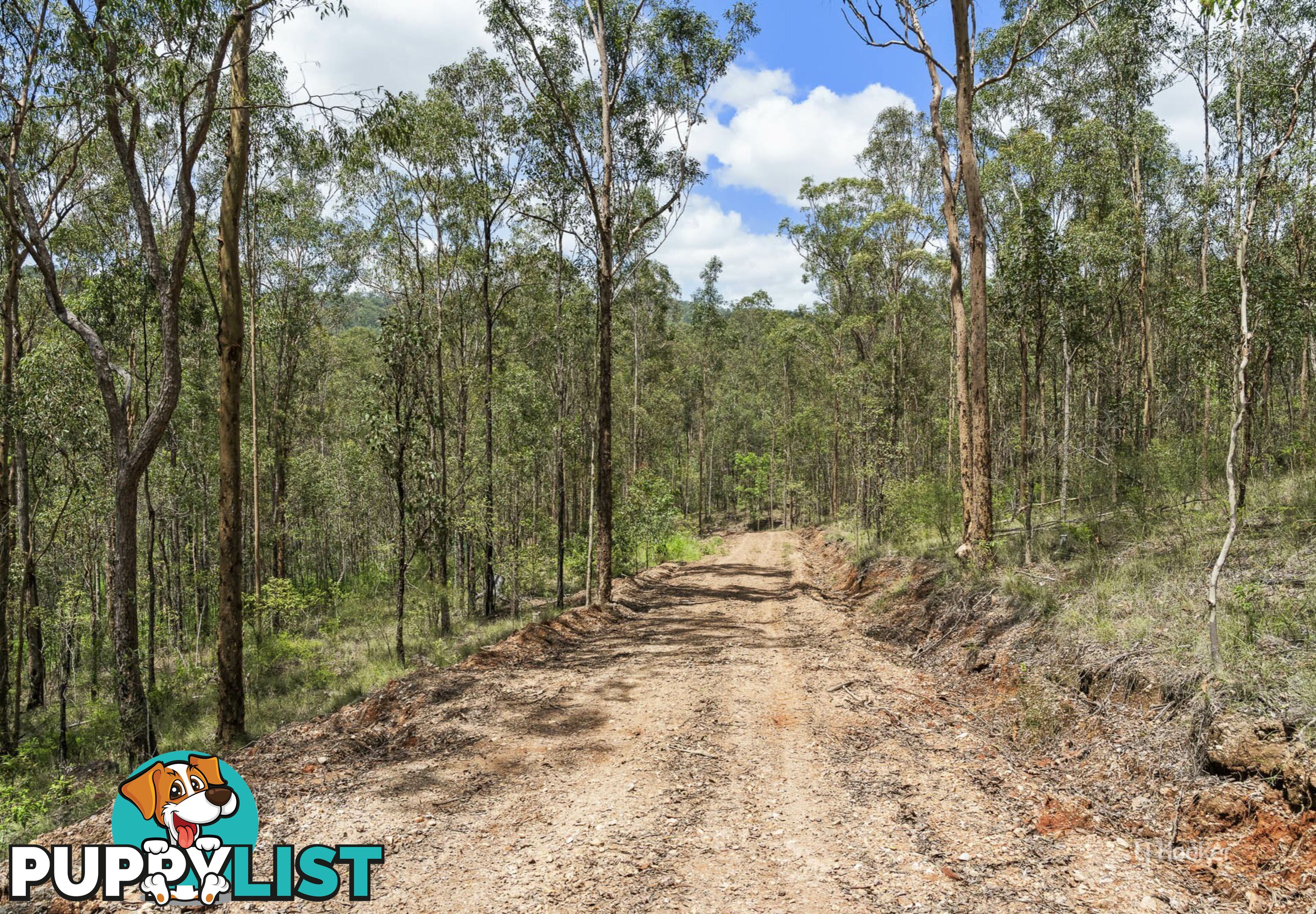 233 Buaraba Creek Road BUARABA QLD 4311