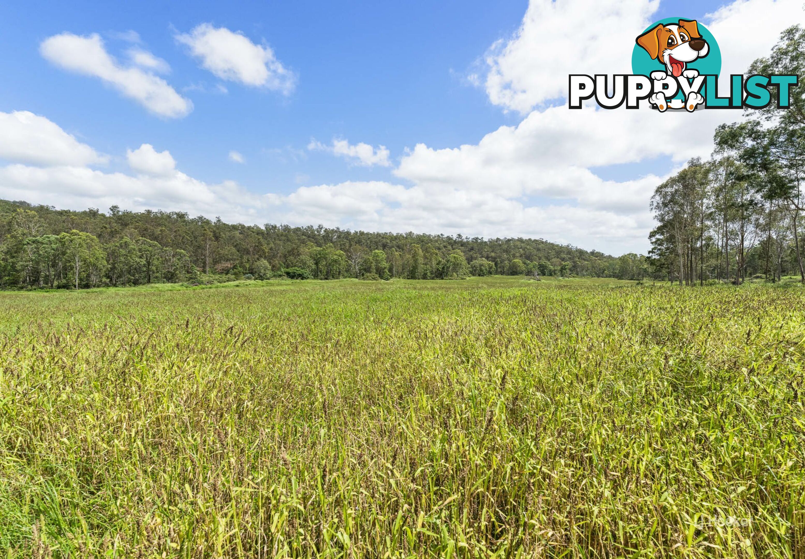 233 Buaraba Creek Road BUARABA QLD 4311