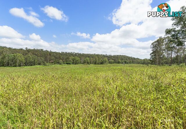 233 Buaraba Creek Road BUARABA QLD 4311