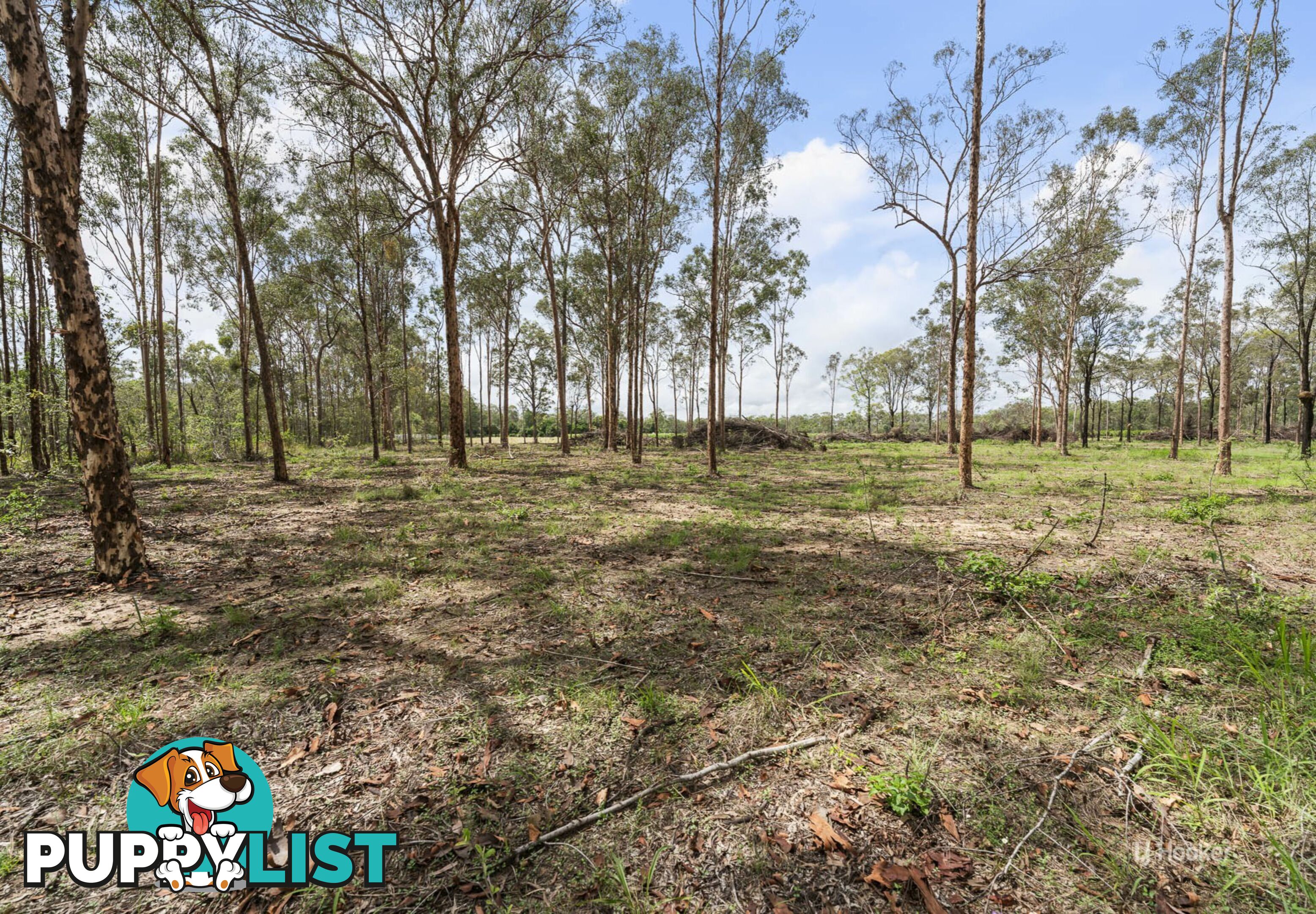 325 Larsens Road COOMINYA QLD 4311