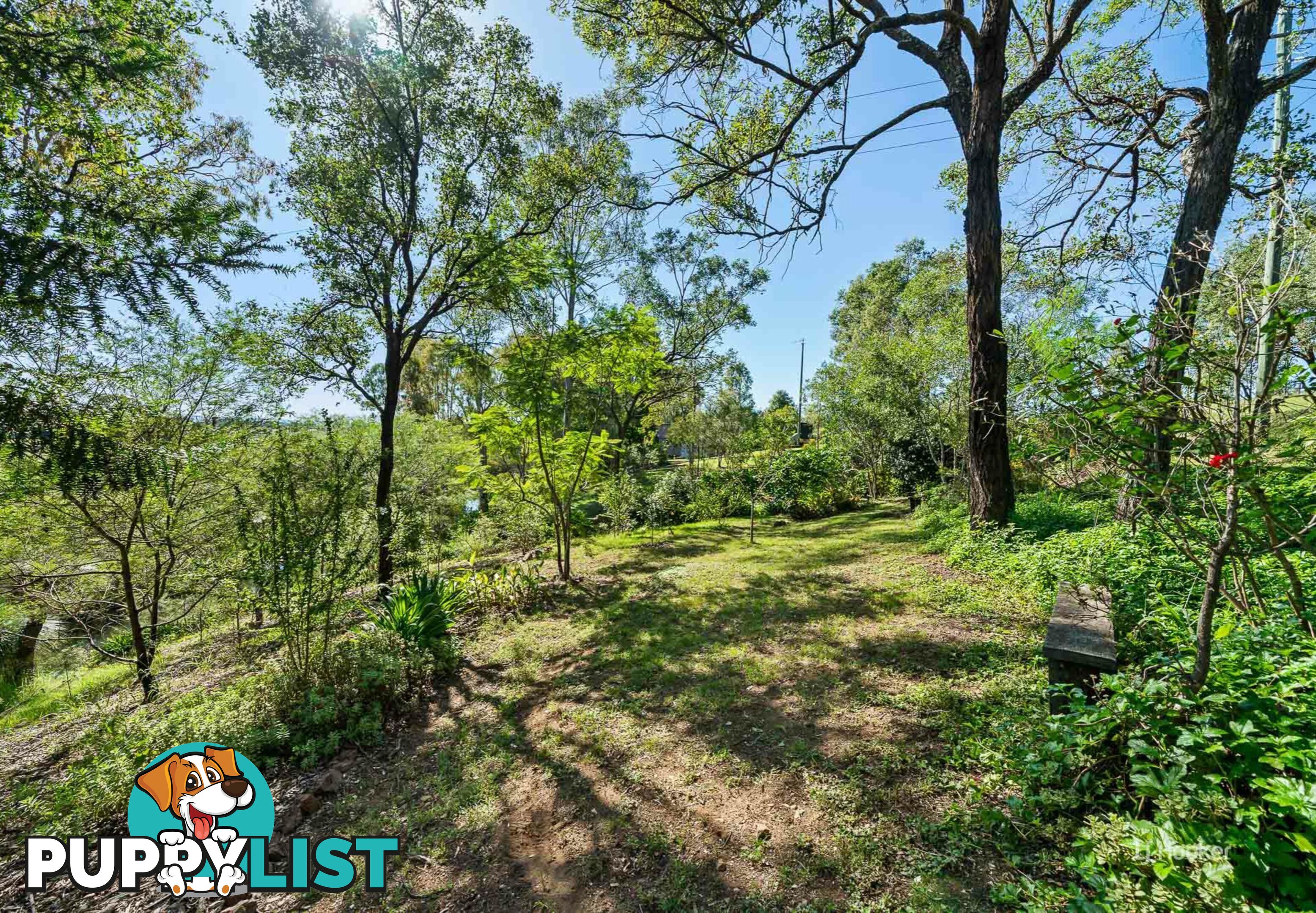 31 Rosentreters Lane BIARRA QLD 4313