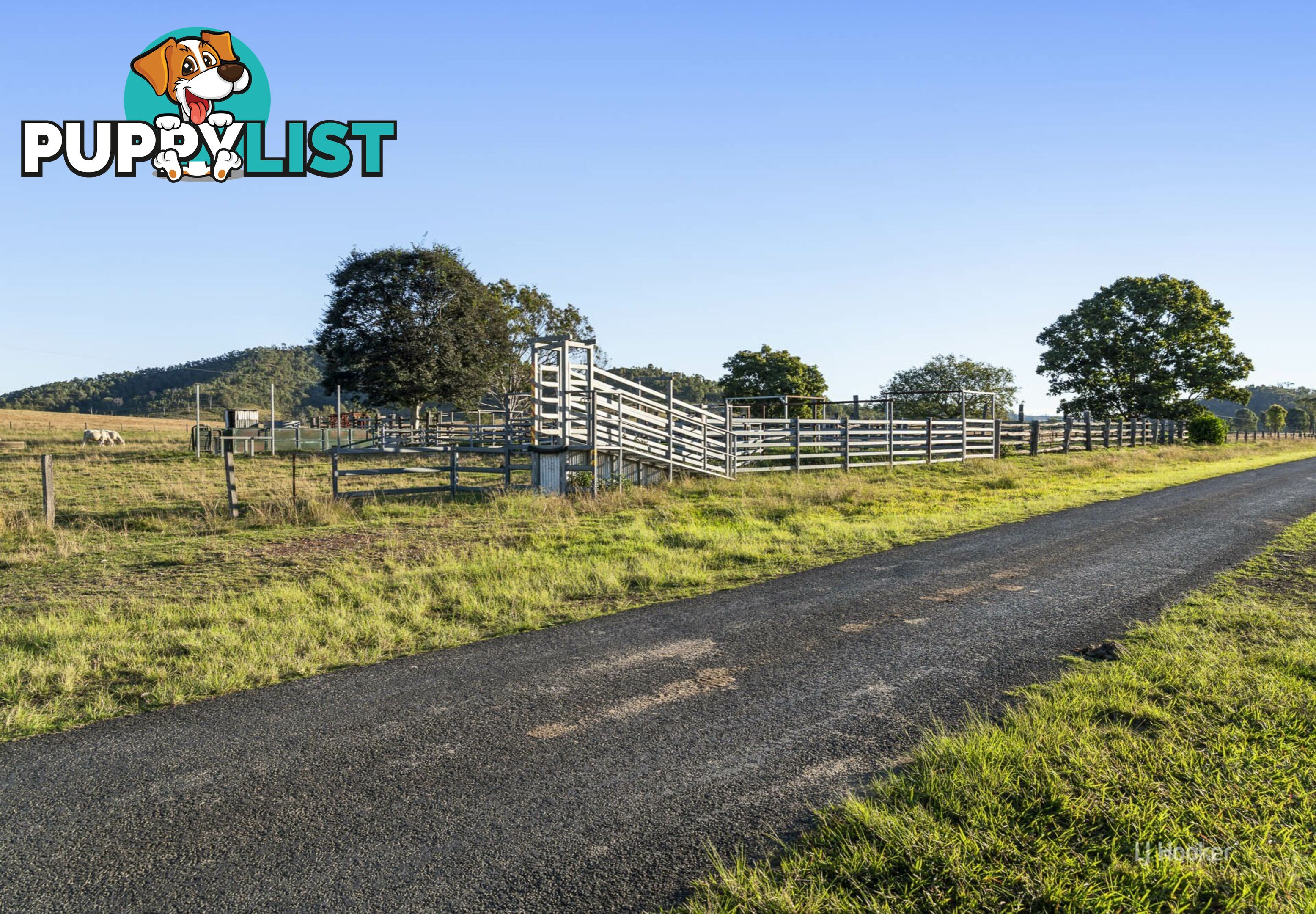 247 Grieves Road COLINTON QLD 4314