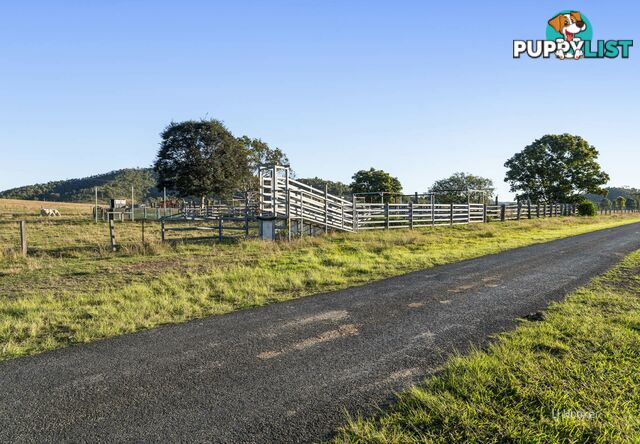 247 Grieves Road COLINTON QLD 4314
