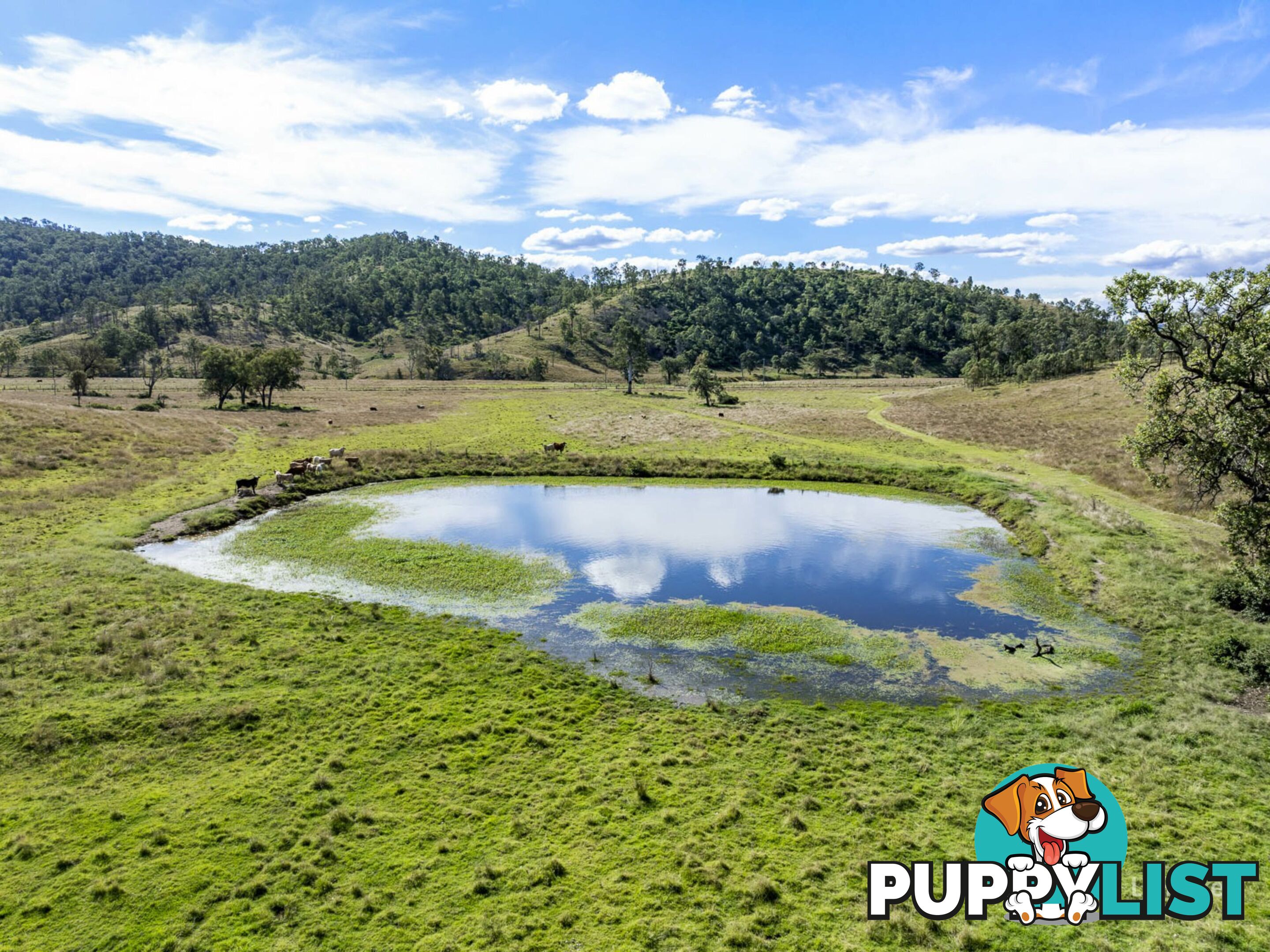 247 Grieves Road COLINTON QLD 4314