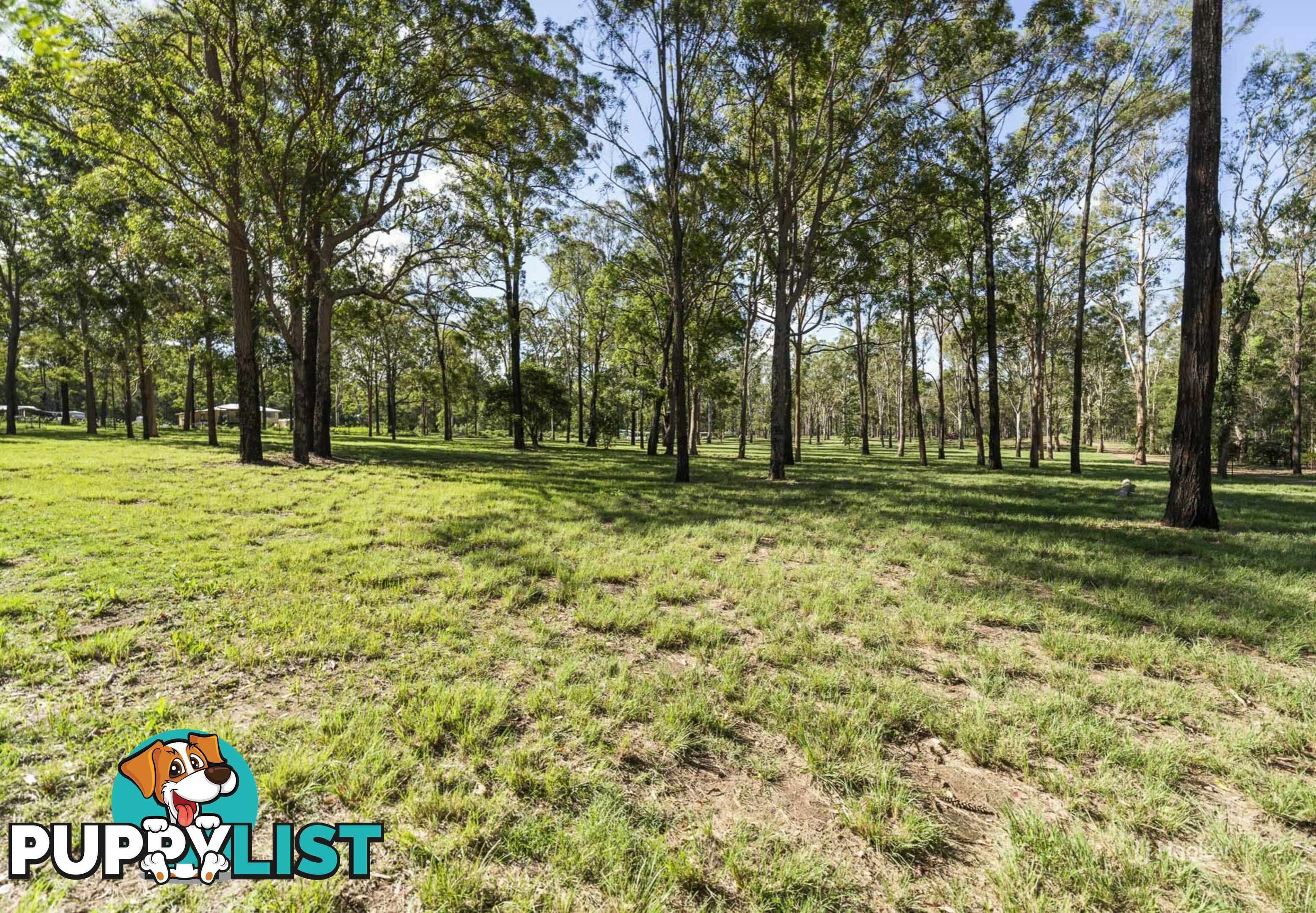 Proposed L Crumpton Drive BLACKBUTT QLD 4314