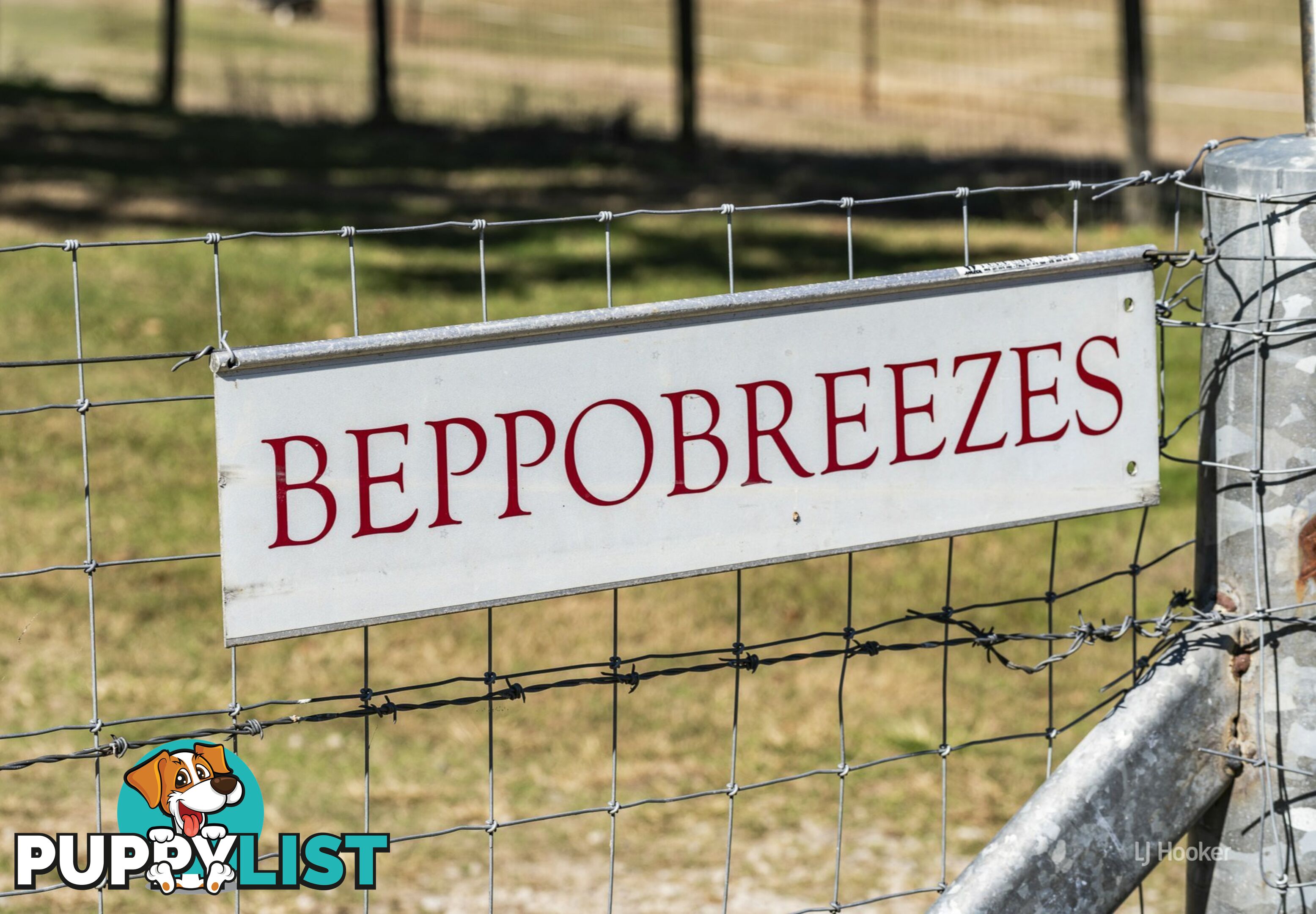 348 Linkes Lane MOUNT BEPPO QLD 4313