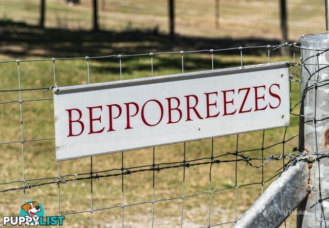 348 Linkes Lane MOUNT BEPPO QLD 4313
