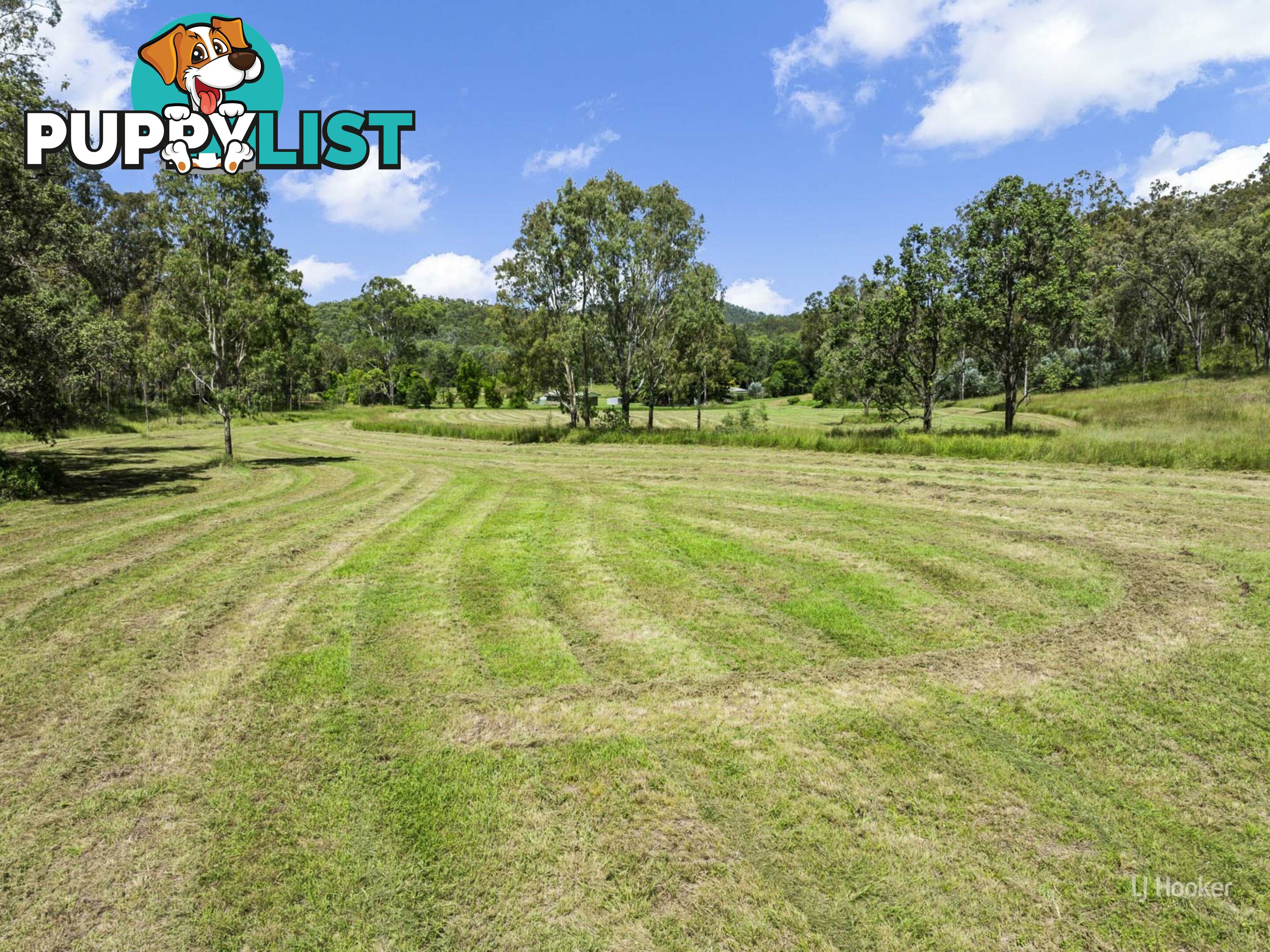 488 Wells Station Road BIARRA QLD 4313