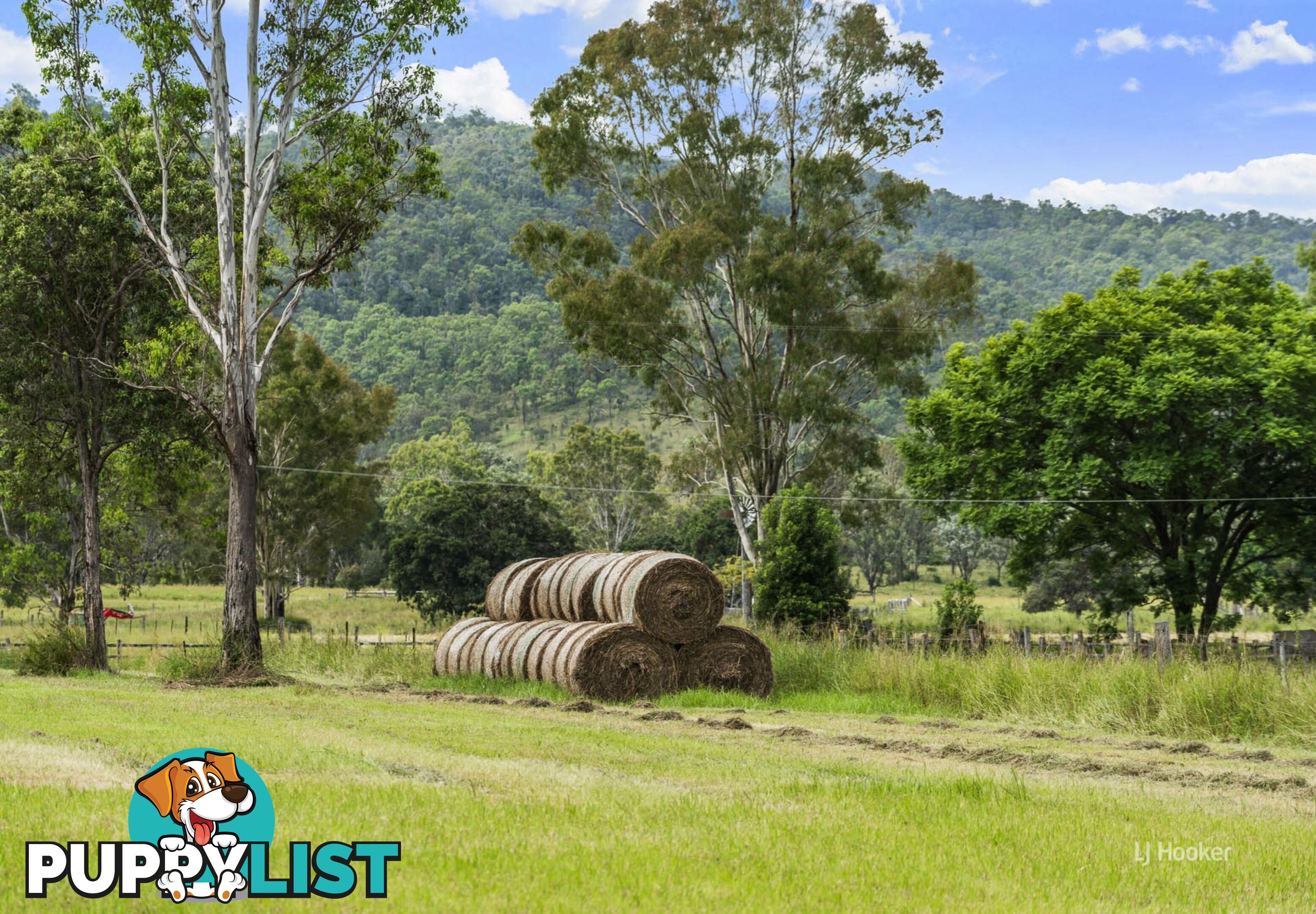 488 Wells Station Road BIARRA QLD 4313