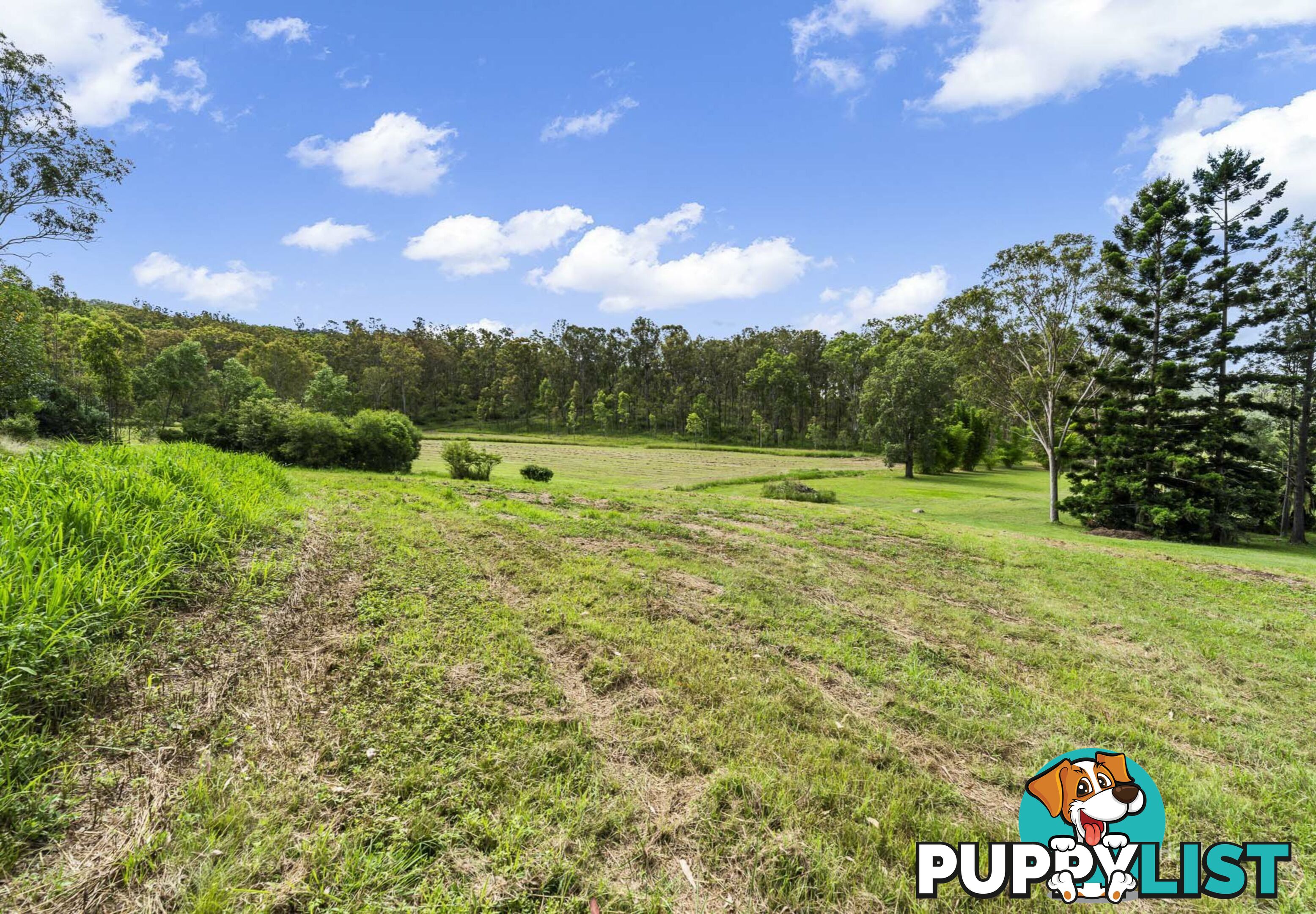 488 Wells Station Road BIARRA QLD 4313