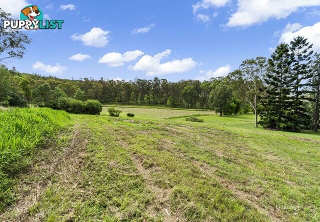 488 Wells Station Road BIARRA QLD 4313