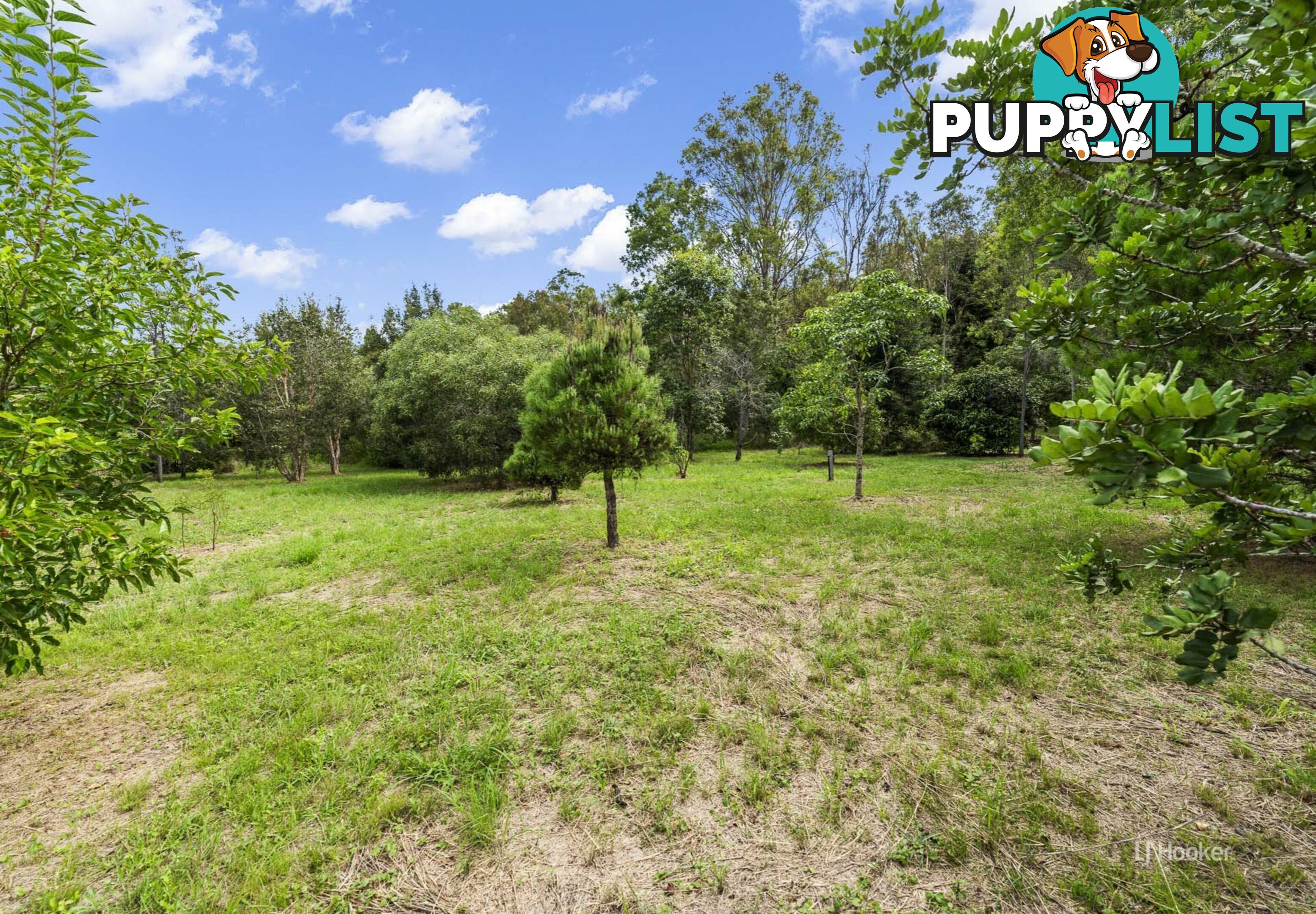 488 Wells Station Road BIARRA QLD 4313