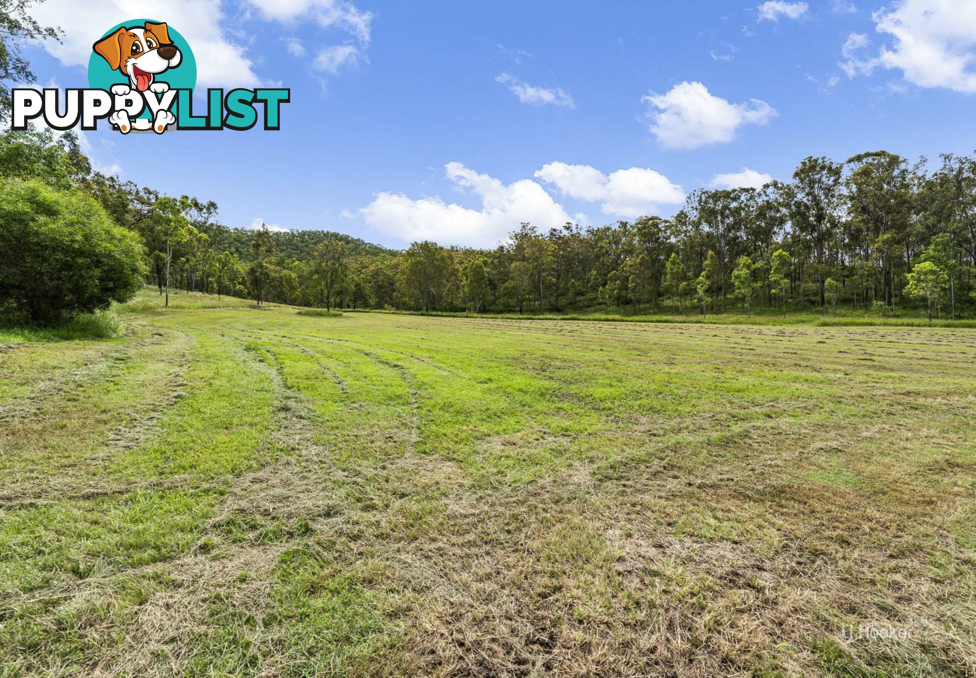 488 Wells Station Road BIARRA QLD 4313